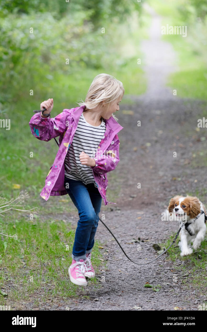 Girl walking dog Stock Photo Alamy