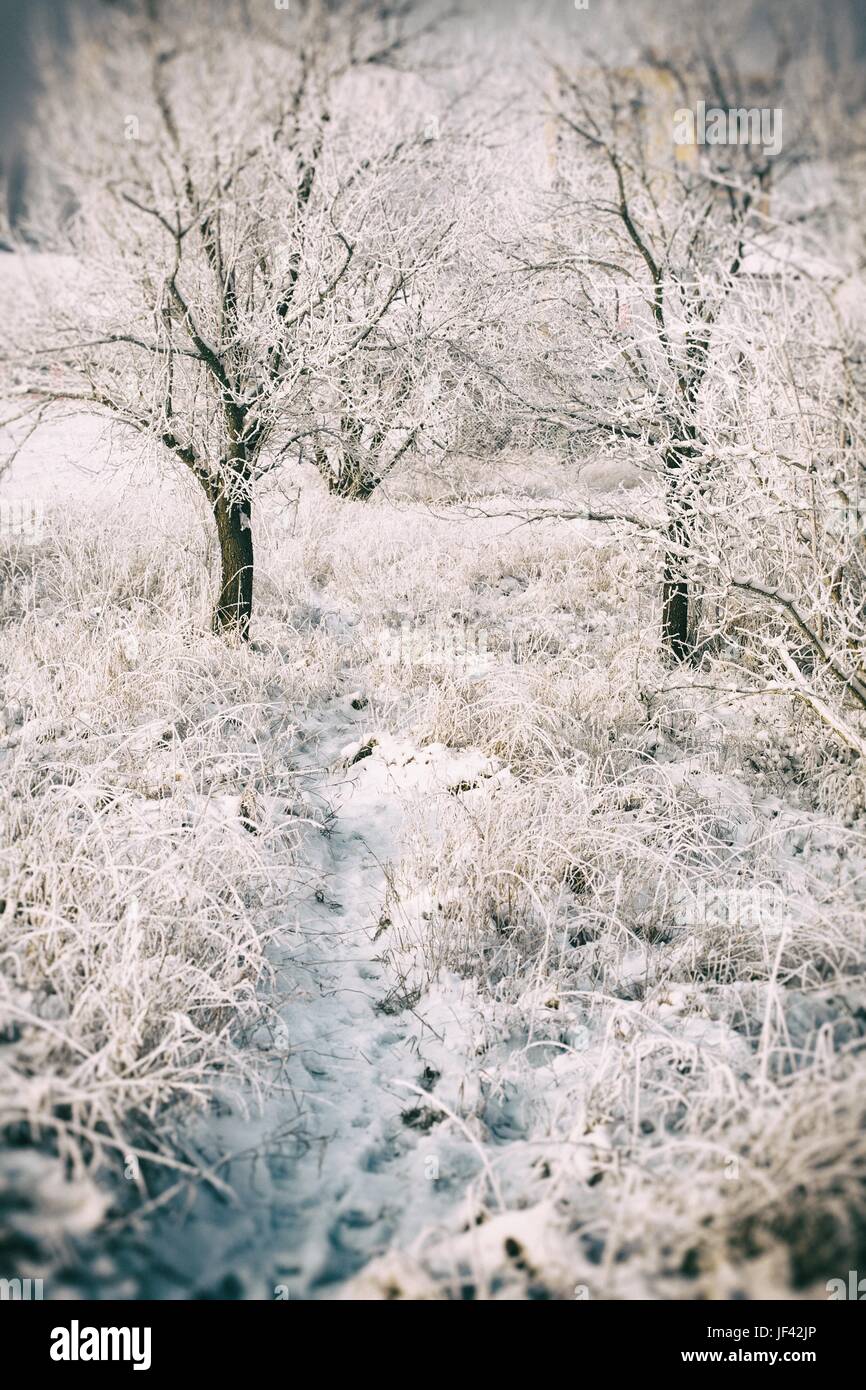 Snowy landscape winter scene hi-res stock photography and images - Alamy