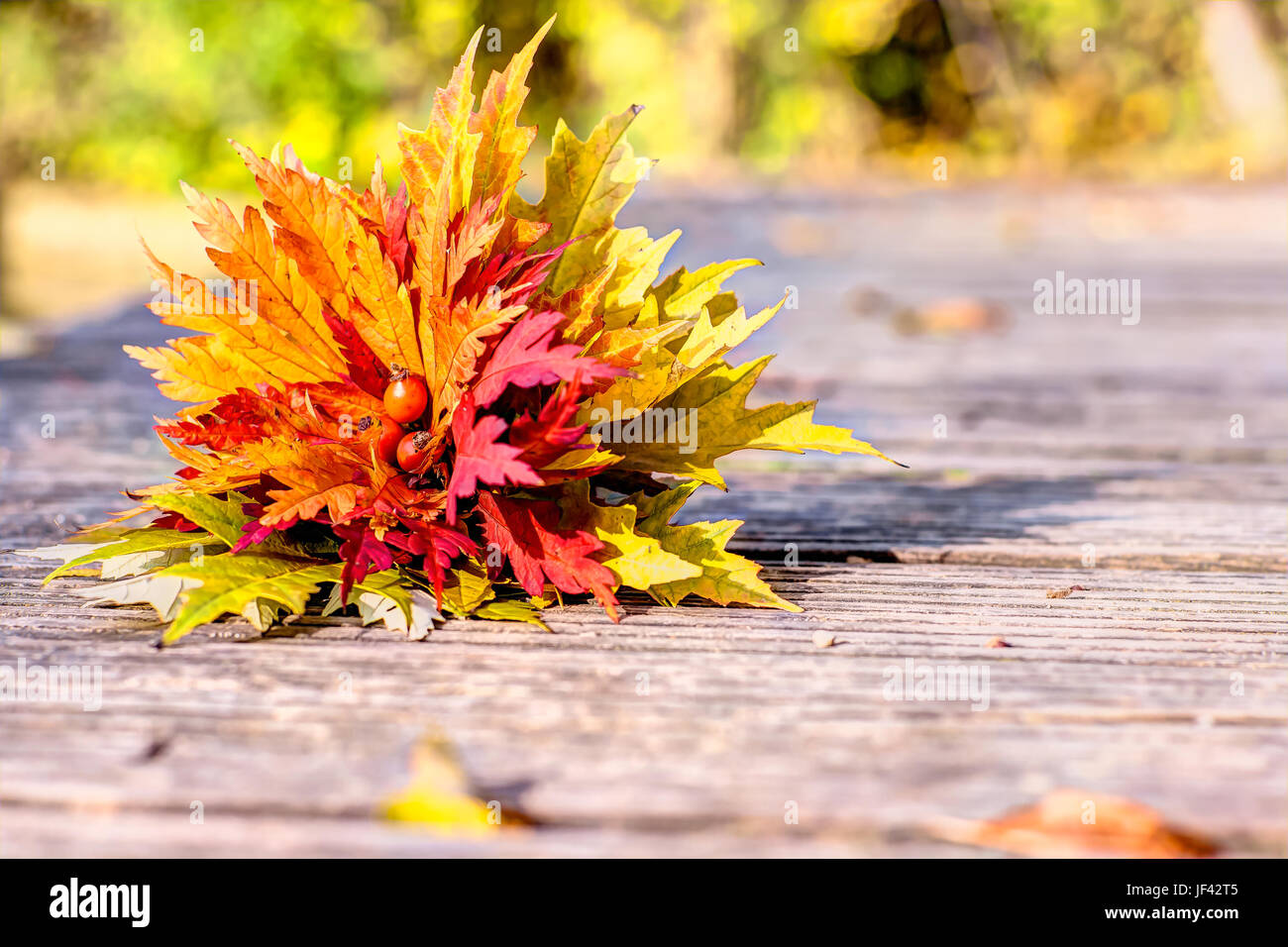Lovely gold leaves hi-res stock photography and images - Alamy