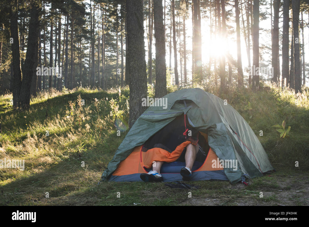 Tent in the forest on sunlight Stock Photo - Alamy