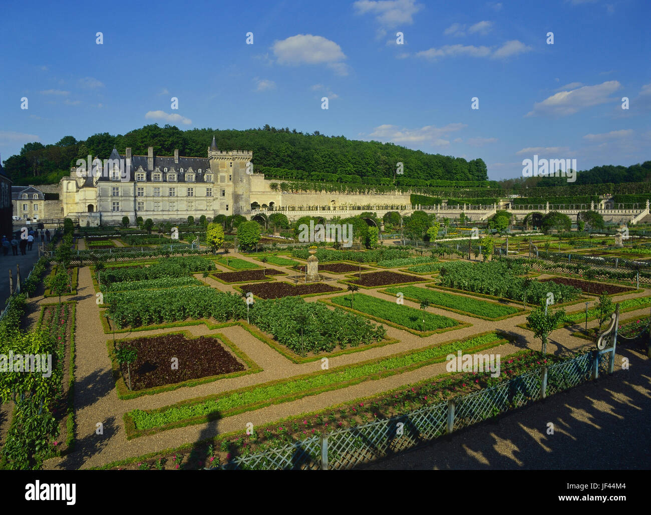 The kitchen garden at Château de Villandry, Loire Valley, France Stock Photo