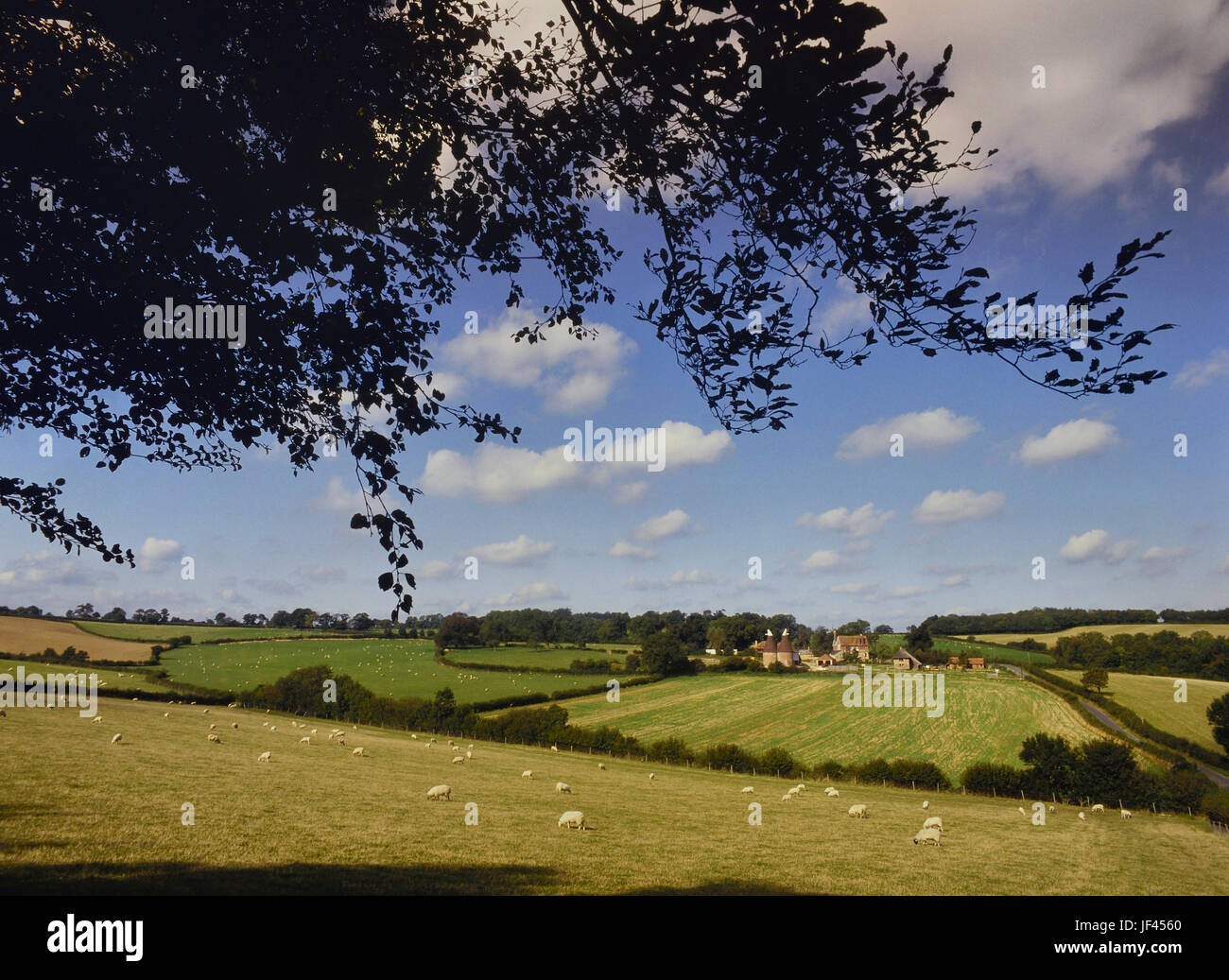 Countryside by Roberstbridge, East Sussex, England, UK Stock Photo