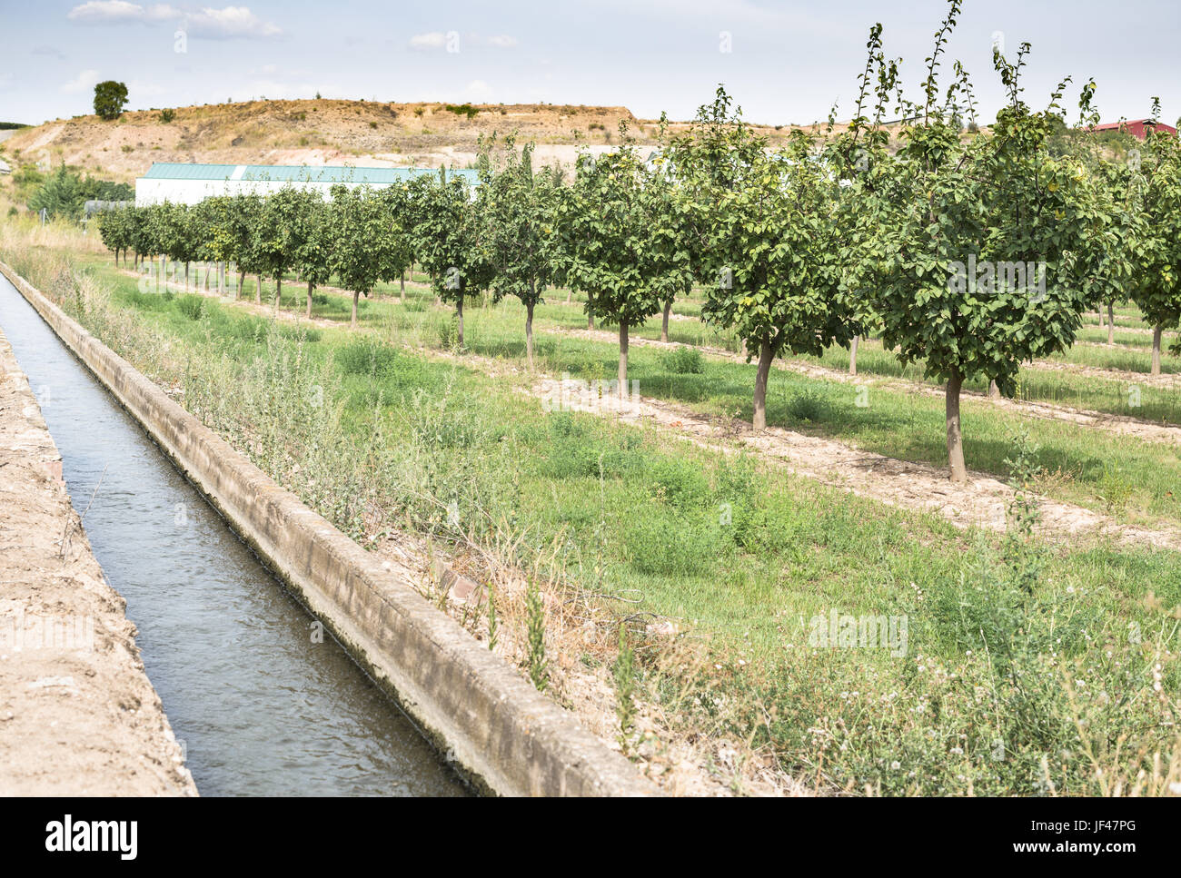 Irrigation Canal And Fruit Trees Stock Photo Alamy