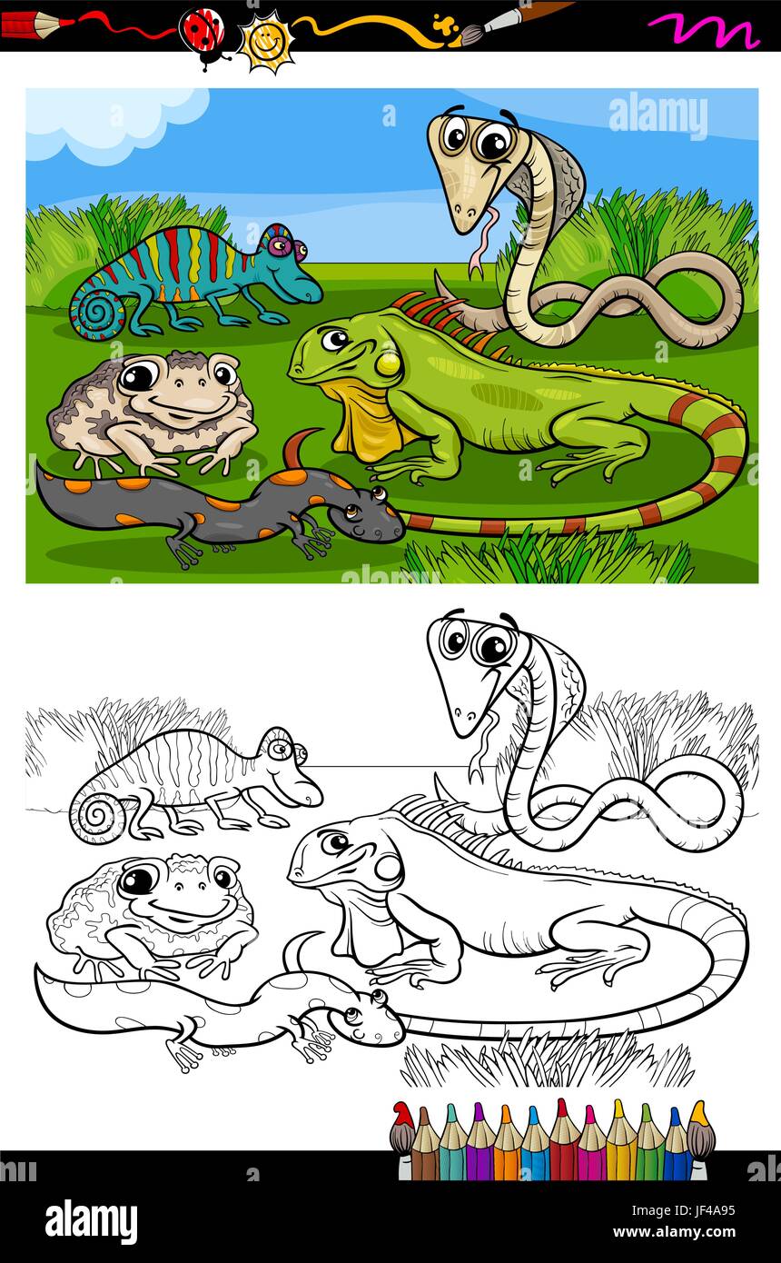 animals, illustration, amphibians, iguana, snake, reptiles, cartoon, group, Stock Vector
