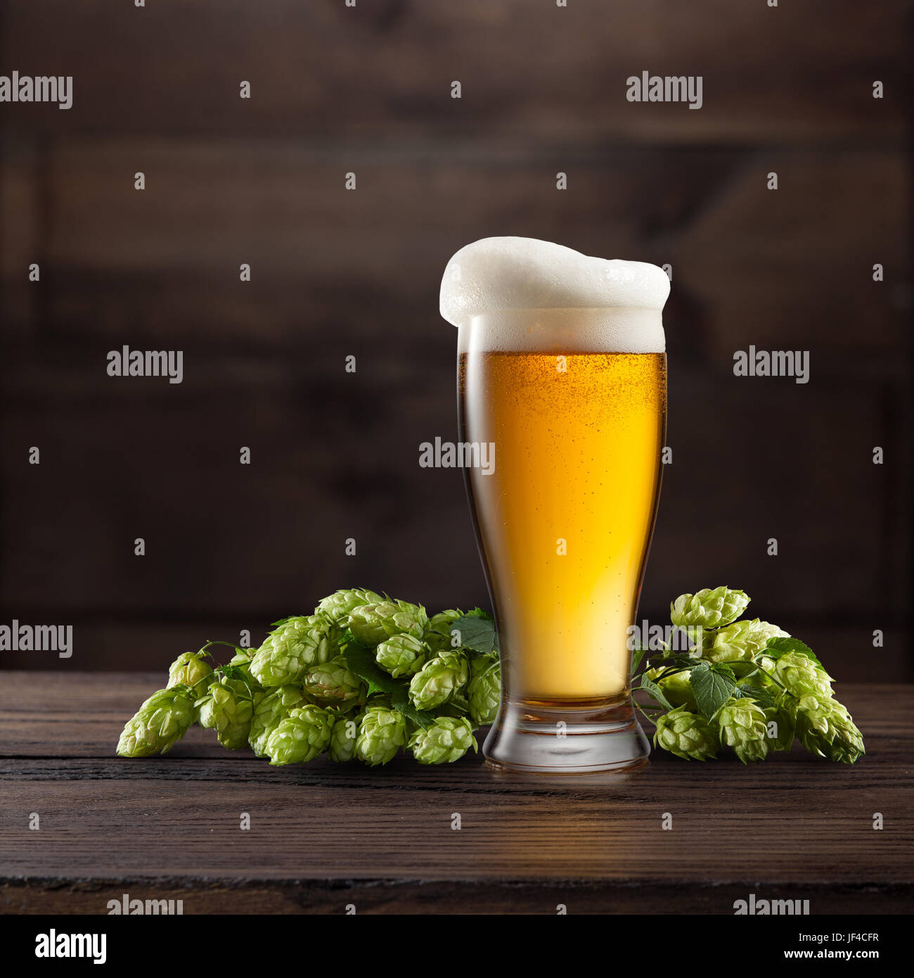 Still life with a glass of beer and hop. Stock Photo