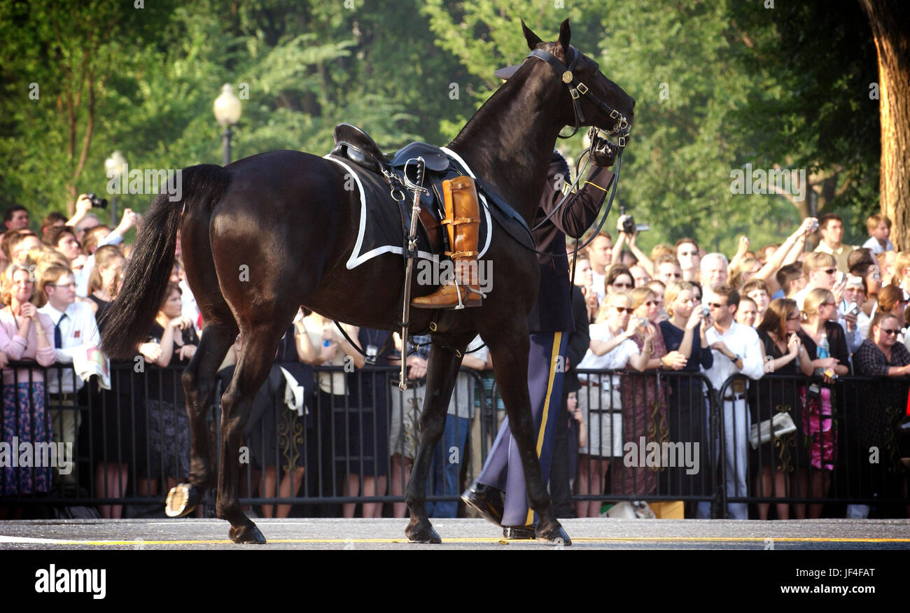 A riderless horse follows the caisson bearing former President Ronald