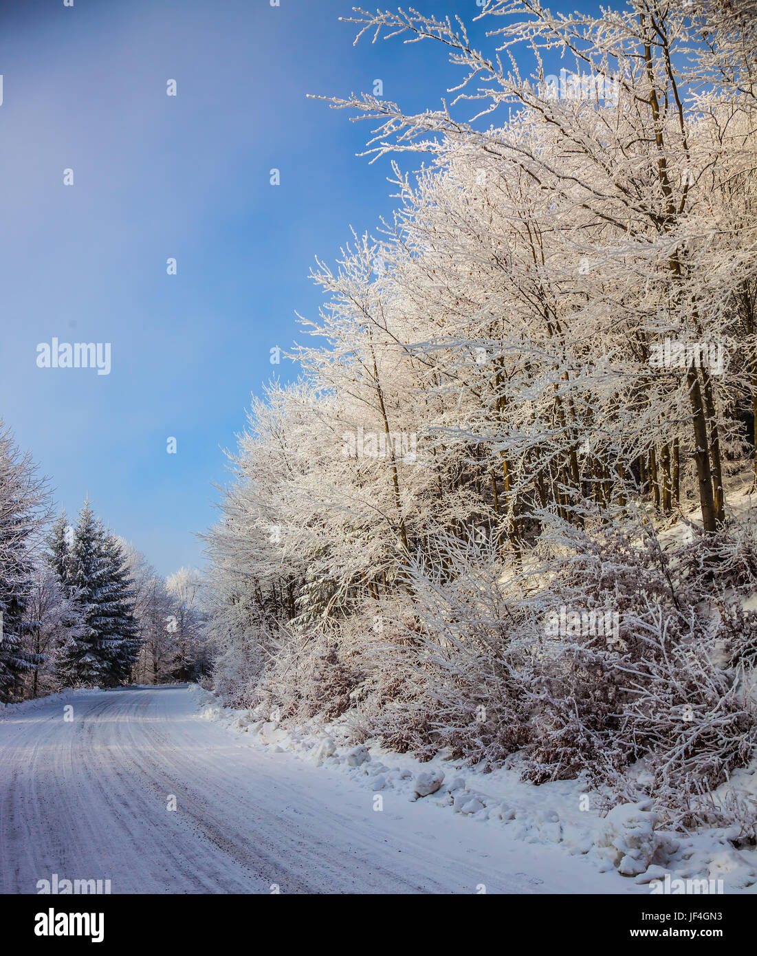 The ski track passes on way to snowy wood Stock Photo