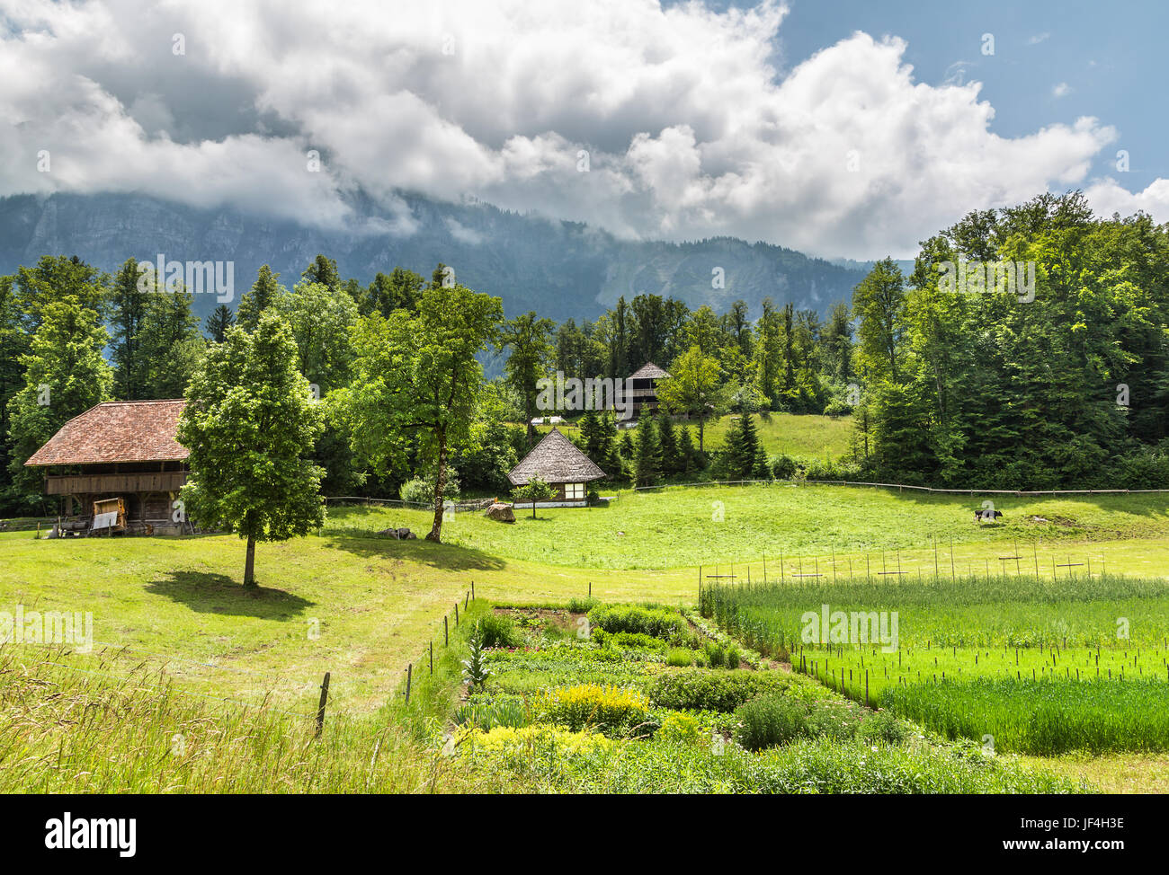 Swiss Rural Rural swiss landscape hi-res stock photography and images - Alamy