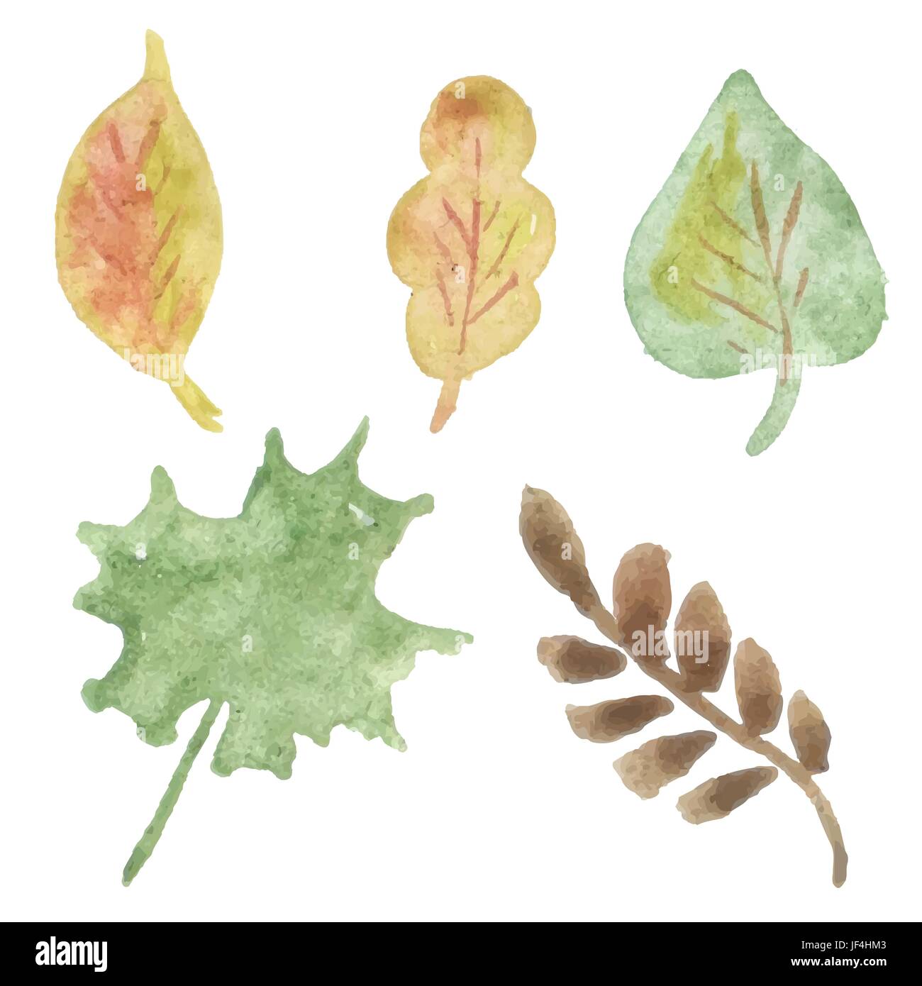 leaf, art, isolated, colour, model, design, project, concept, plan ...