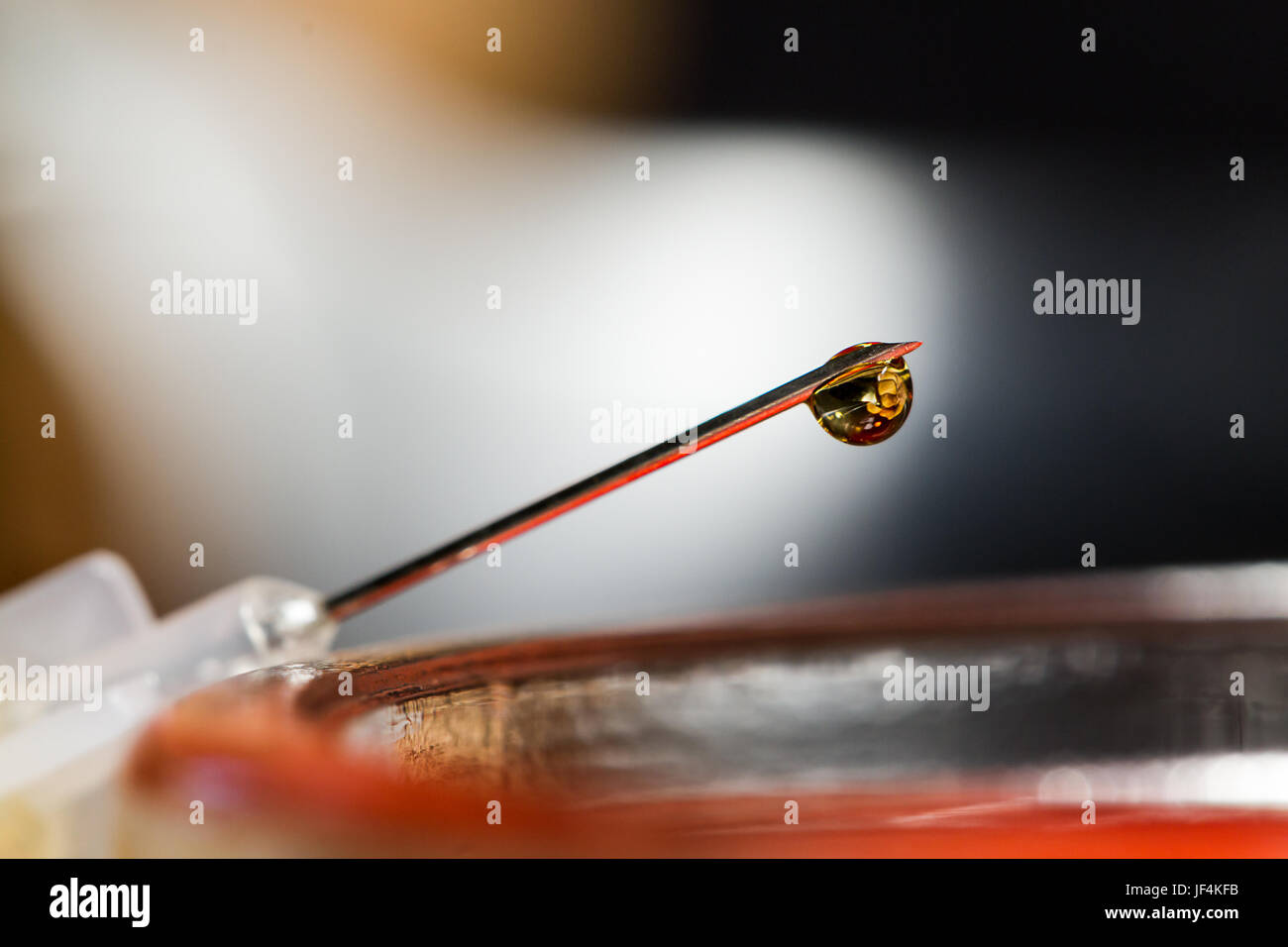 The Most Common Form Of Heroin Use In The US And Around The World Is 