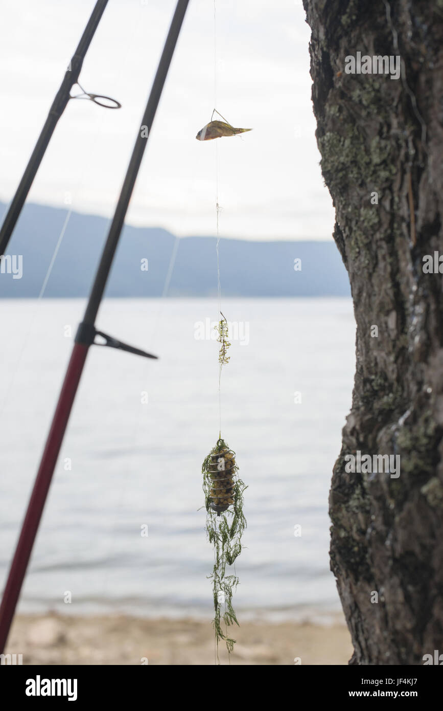 Fishing rods and mountain lake Stock Photo