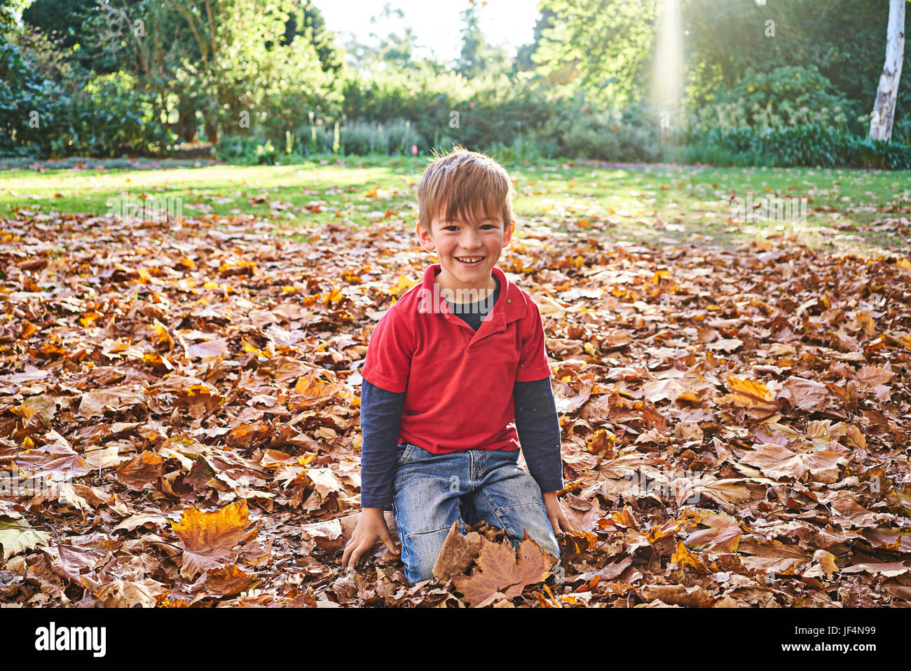Young boy playing in Autumn leaves Stock Photo - Alamy