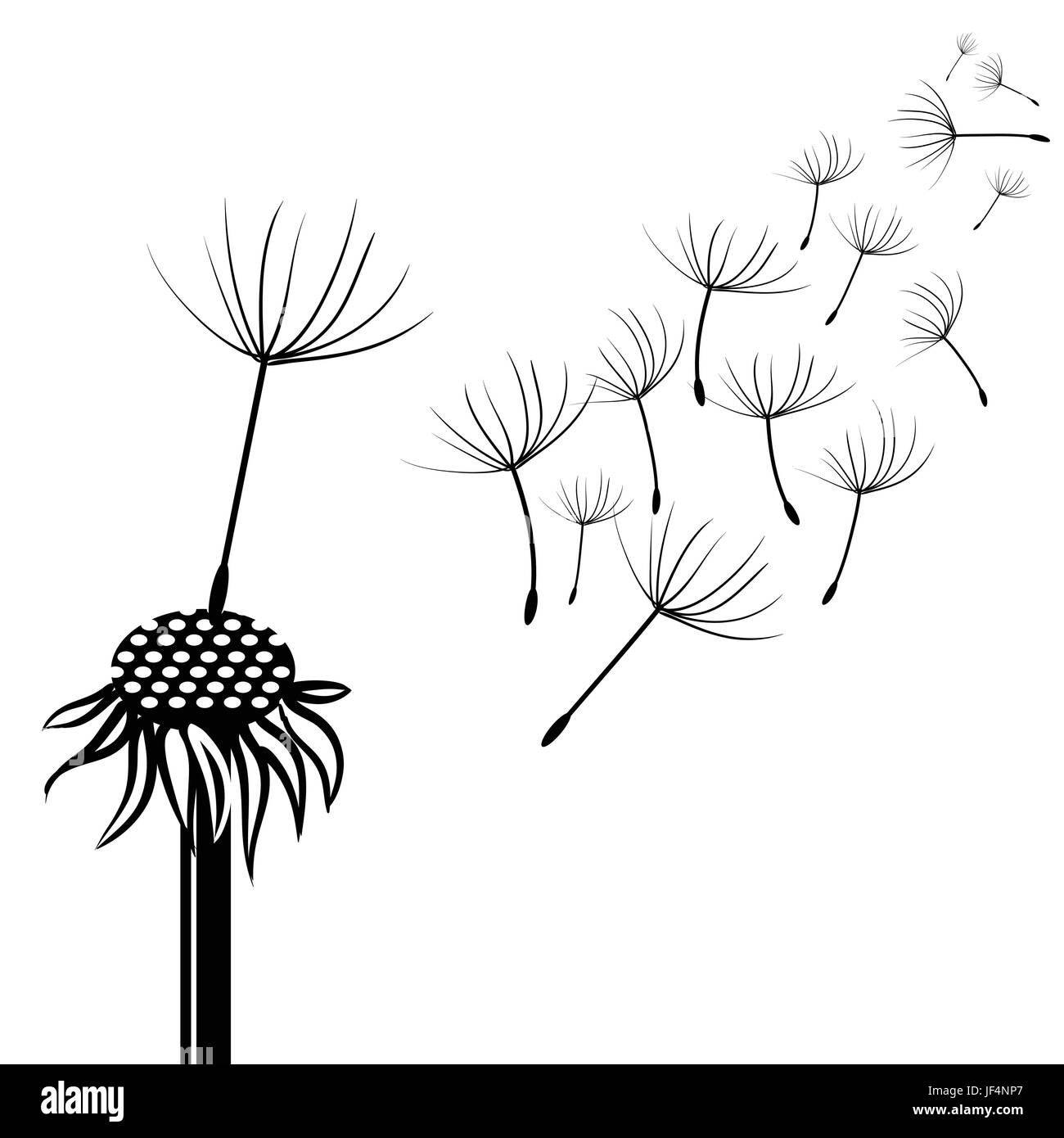 beautiful, beauteously, nice, single, garden, graphic, flower, plant, heaven, Stock Vector