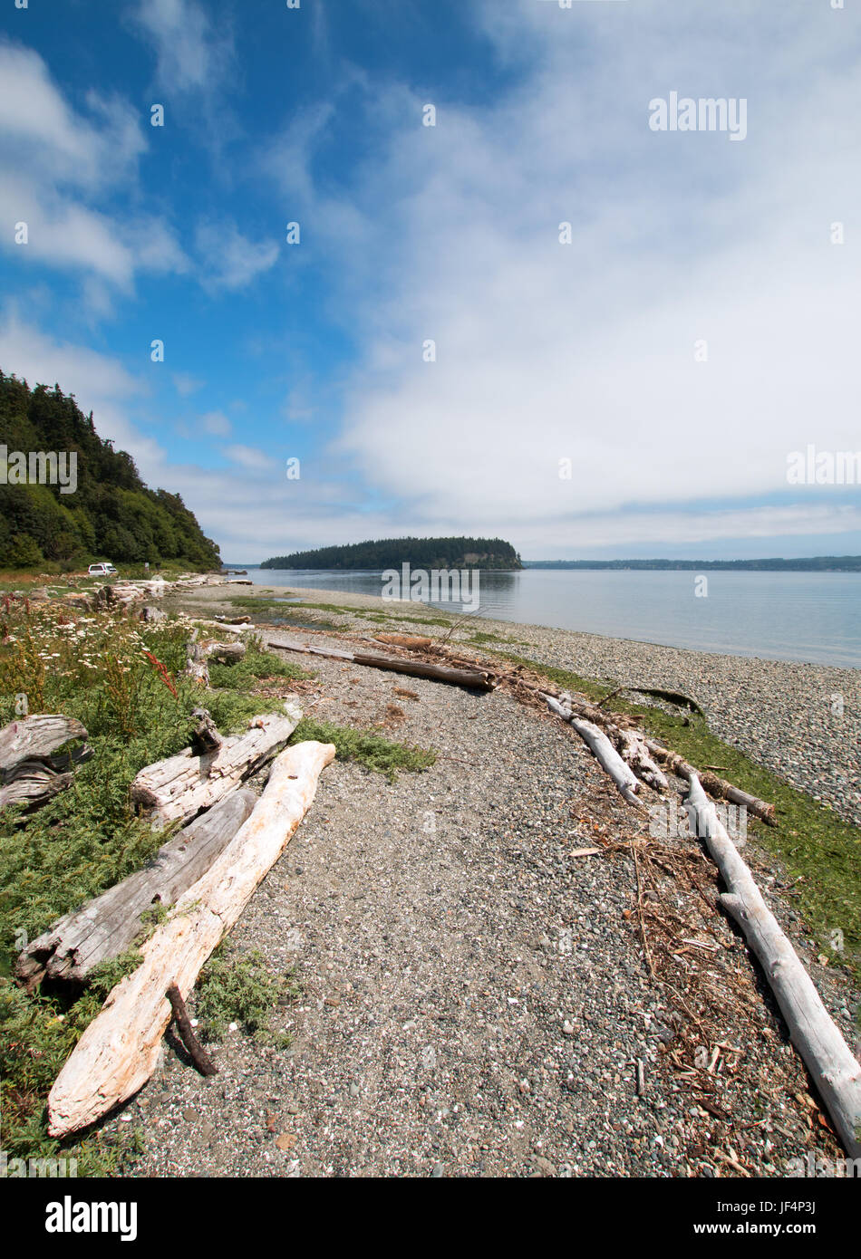 Driftwood on the shore of Shine Tidelands State Park on Bywater Bay near Port Ludlow in the