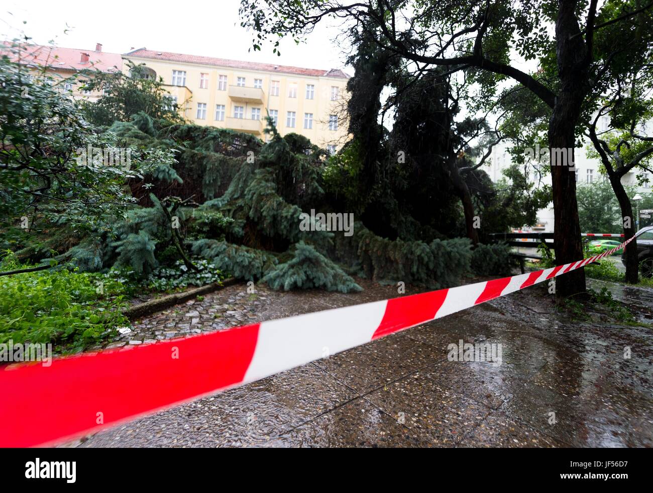 Berlin, Germany. 29th June, 2017. The roots of an upended tree can be seen after heavy downpour in Berlin, Germany, 29 June 2017. Photo: Monika Skolimowska/dpa/Alamy Live News Stock Photo