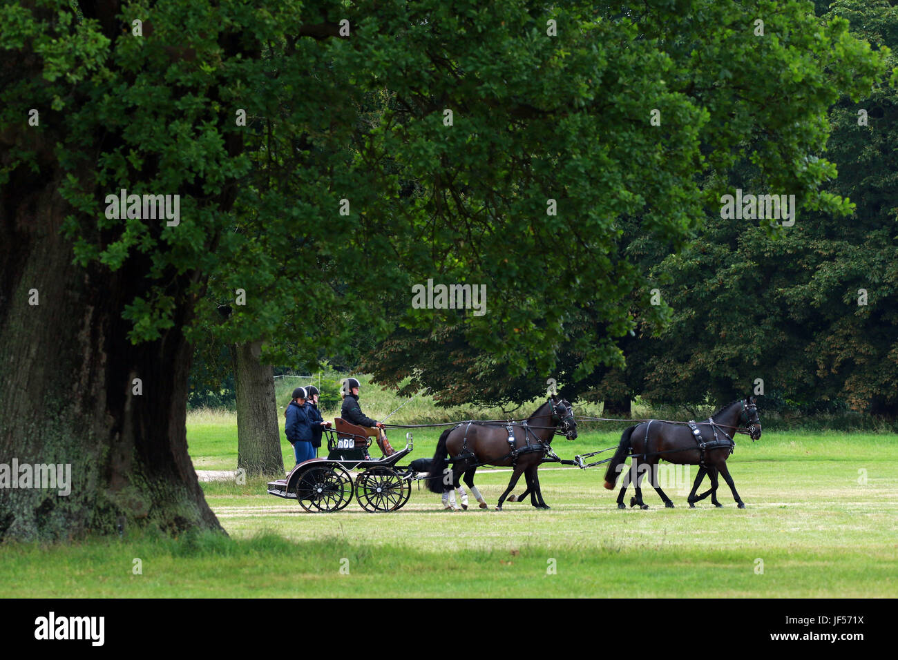 Sandringham, Norfolk, UK. 29th June, 2017. Competitors attending the Sandringham Carriage Driving Trials take the opportunity to get their horses out and drive the course now that the heavy rain has stopped. Sandringham Carriage Driving Trials, Sandringham, Norfolk,  June 29, 2017 Credit: Paul Marriott/Alamy Live News Stock Photo