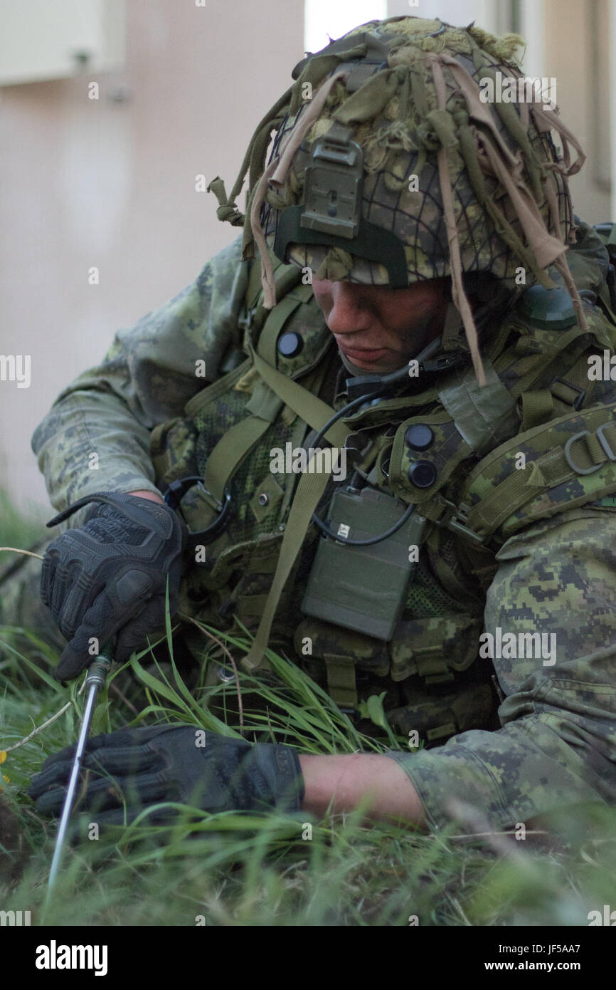 A Canadian soldier, 2 Combat Engineer Regiment, 24 Squadron, checks disturbed ground to clear the area after a simulated battle in Exercise Maple Resolve 17 at Camp Wainwright in Alberta, Canada, May 28, 2017. Exercise Maple Resolve is an annual collective training event designed for any contingency operation. Approximately 4,000 Canadian and 1,000 service members from the U.S., Britain, Australia, New Zealand, and France are participating in this year's exercise. (U.S. National Guard photo by Spc. Elizabeth Scott) Stock Photo