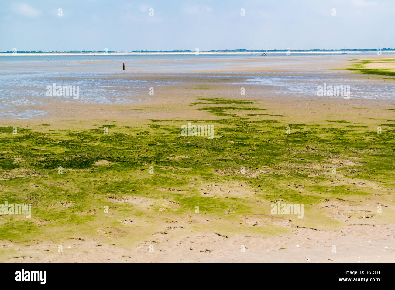 Panorama of sandflat and mudflat landscape at low tide, nature reserve near Maasvlakte and port of Rotterdam, Netherlands Stock Photo