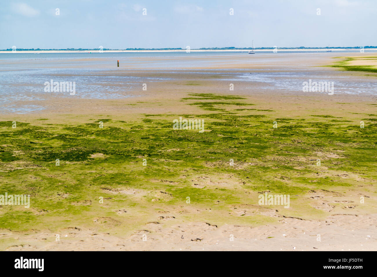 Mudflat Image Flat mudflat tide hi-res stock photography and images - Alamy