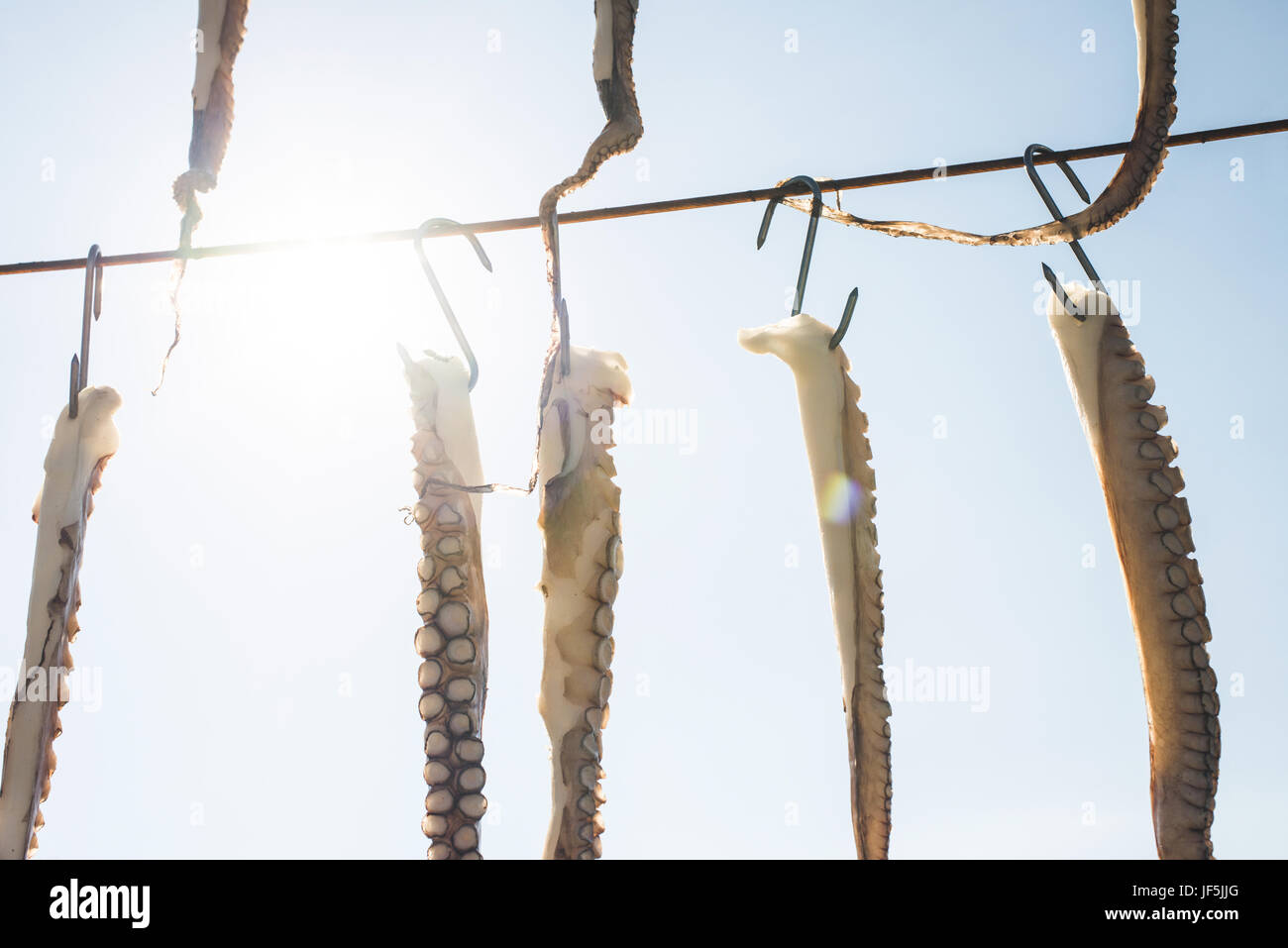Octopus on rope Stock Photo - Alamy