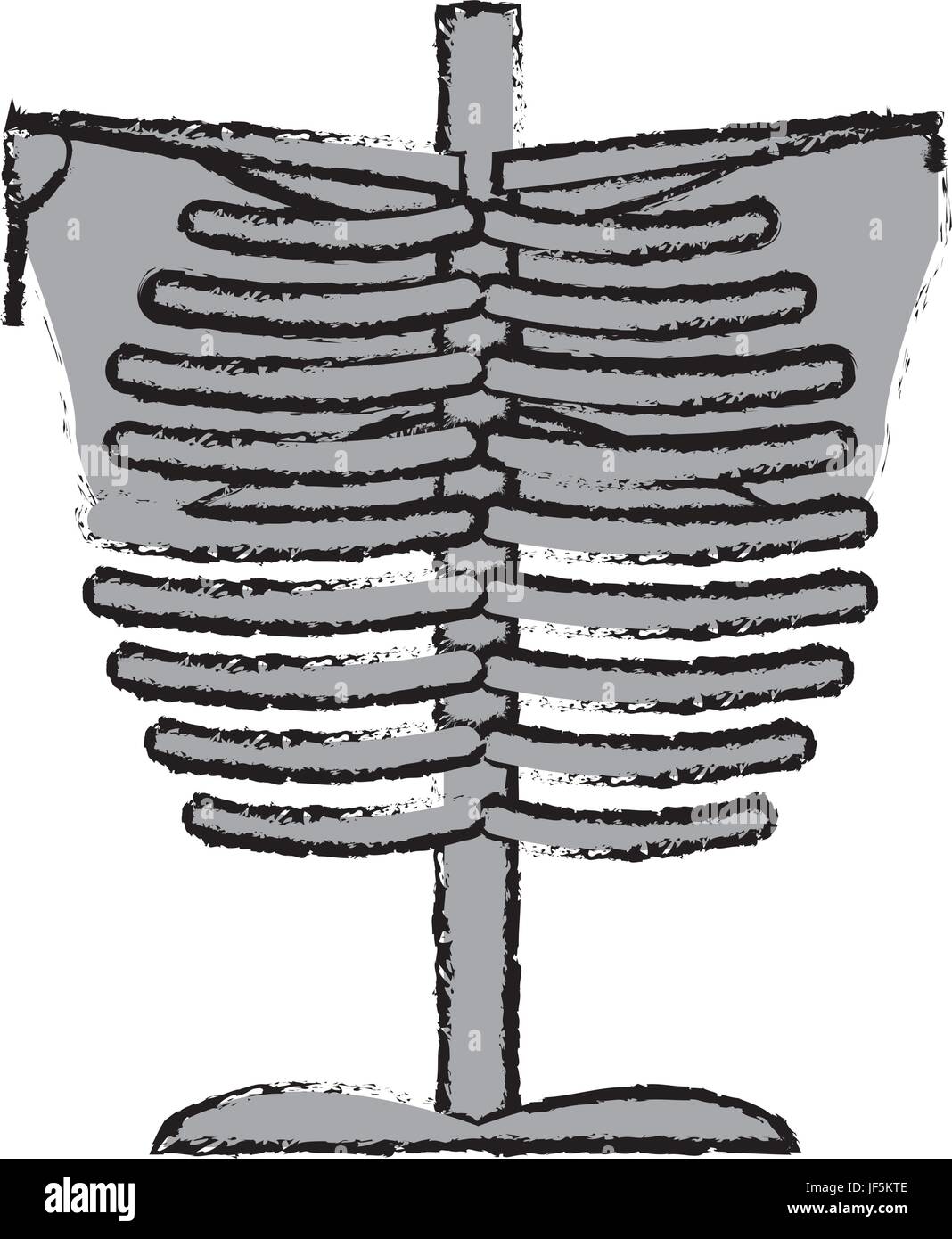 Chest Anatomy High Resolution Stock Photography and Images - Alamy