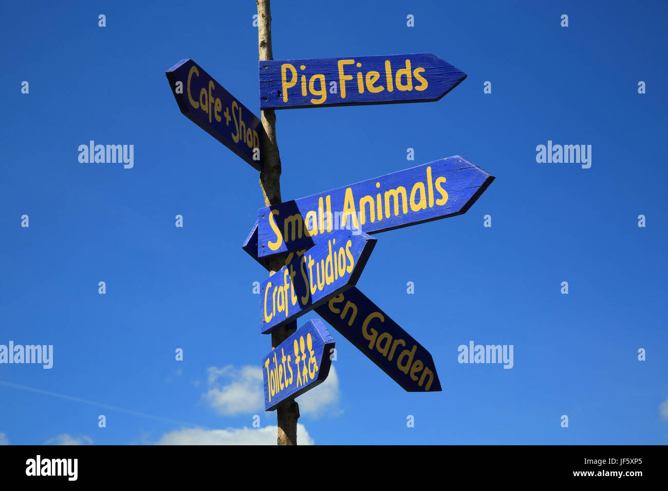 Stepney City Farm, in the East End of London, in England, UK Stock Photo