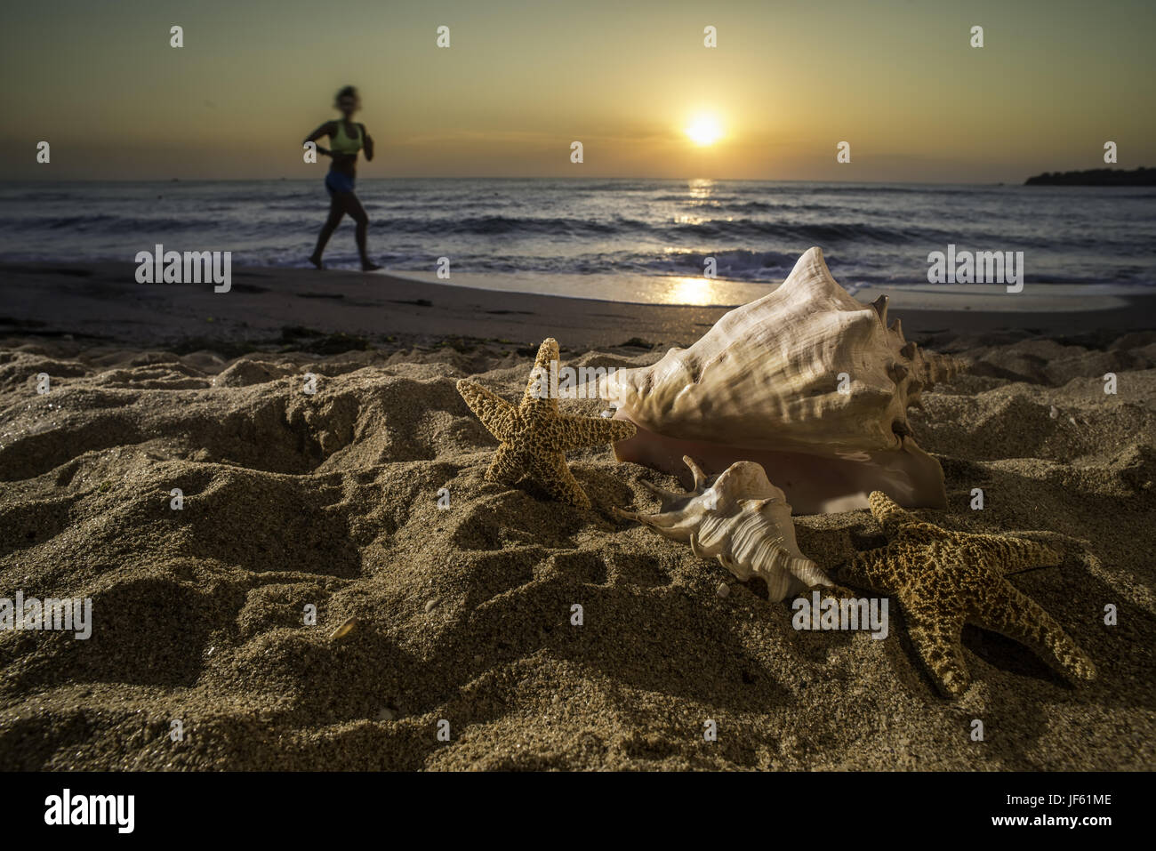 Sunrise on the beach. Shells Stock Photo - Alamy