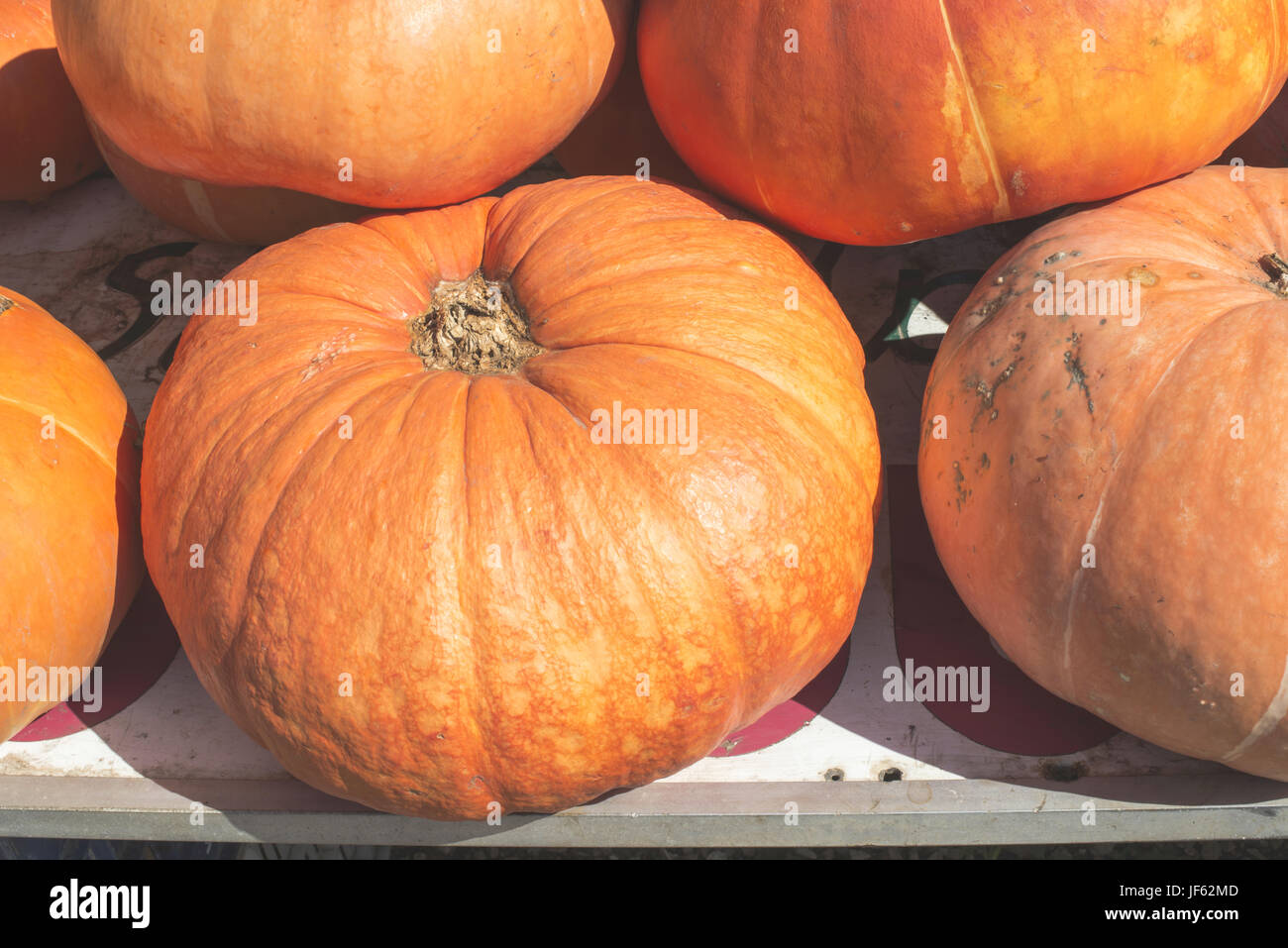 Pumpkins at market Stock Photo - Alamy