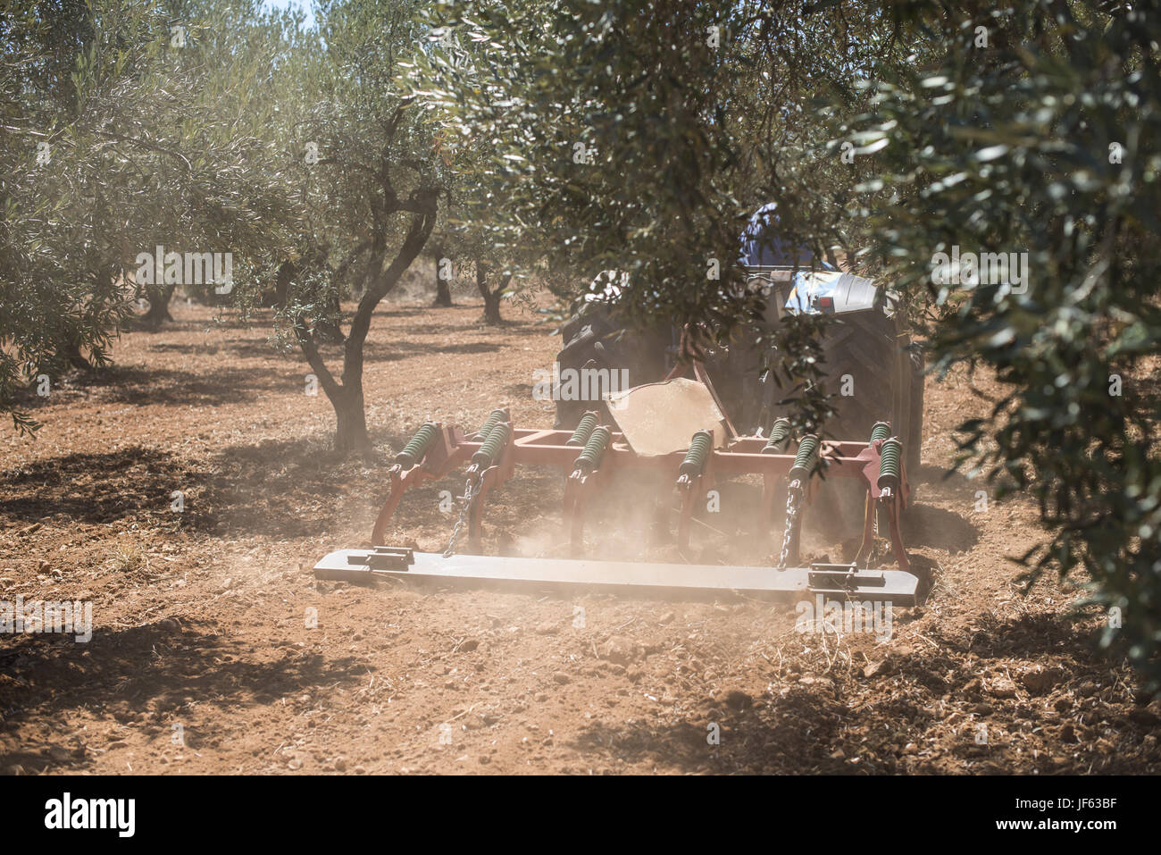 Tractor and olive trees Stock Photo Alamy