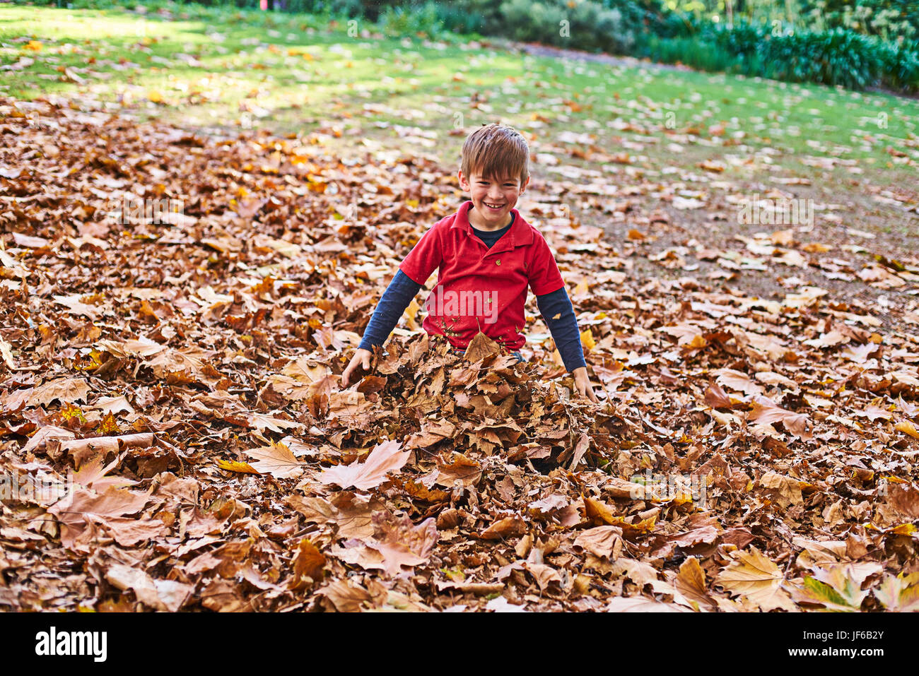 Young boy playing in Autumn leaves Stock Photo - Alamy