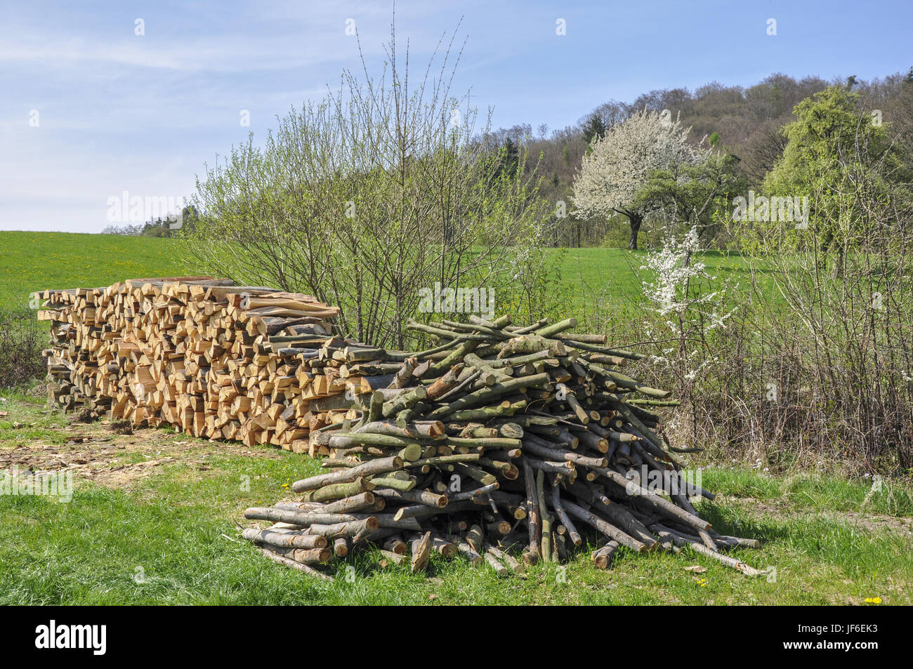 Stack of wood nearby Michelfeld, Germany Stock Photo