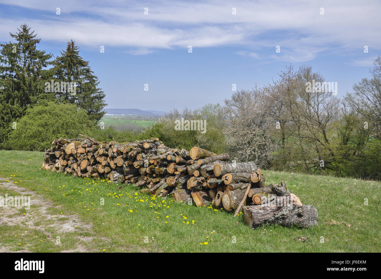 Firewood in meadow orchard, Germany Stock Photo