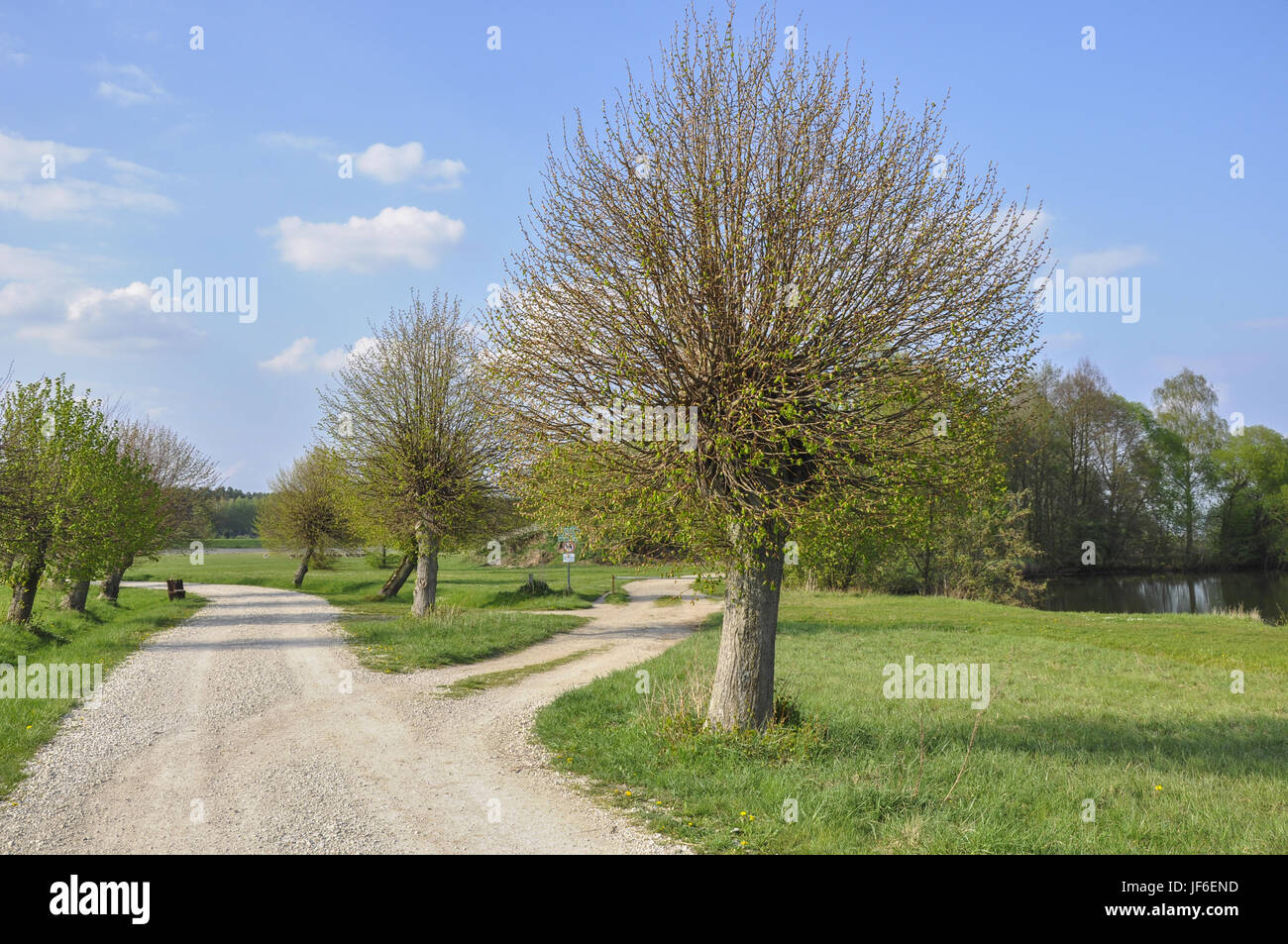 Sandachse franken hi-res stock photography and images - Alamy
