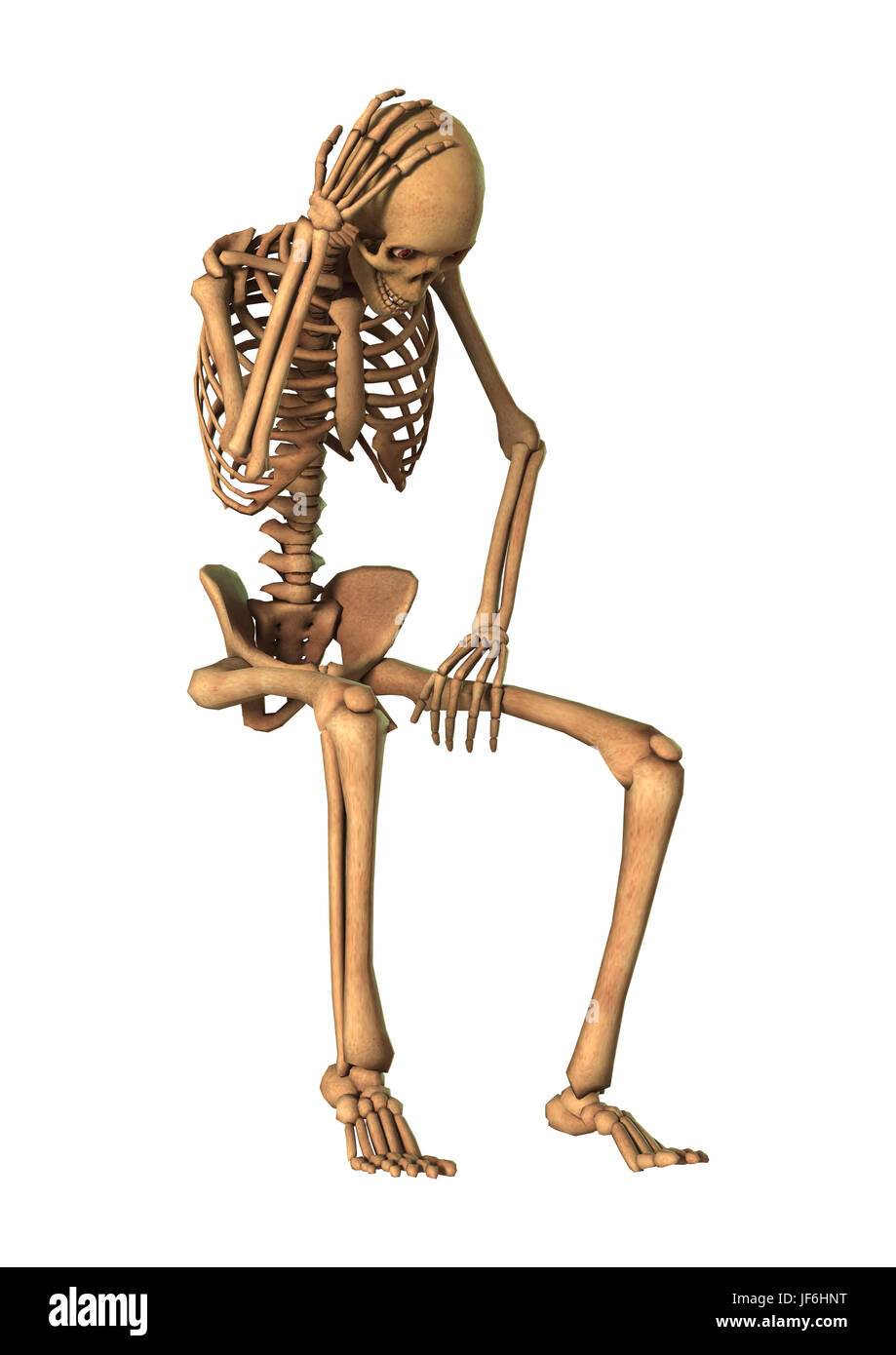 3D rendering of a human skeleton isolated on white background Stock ...