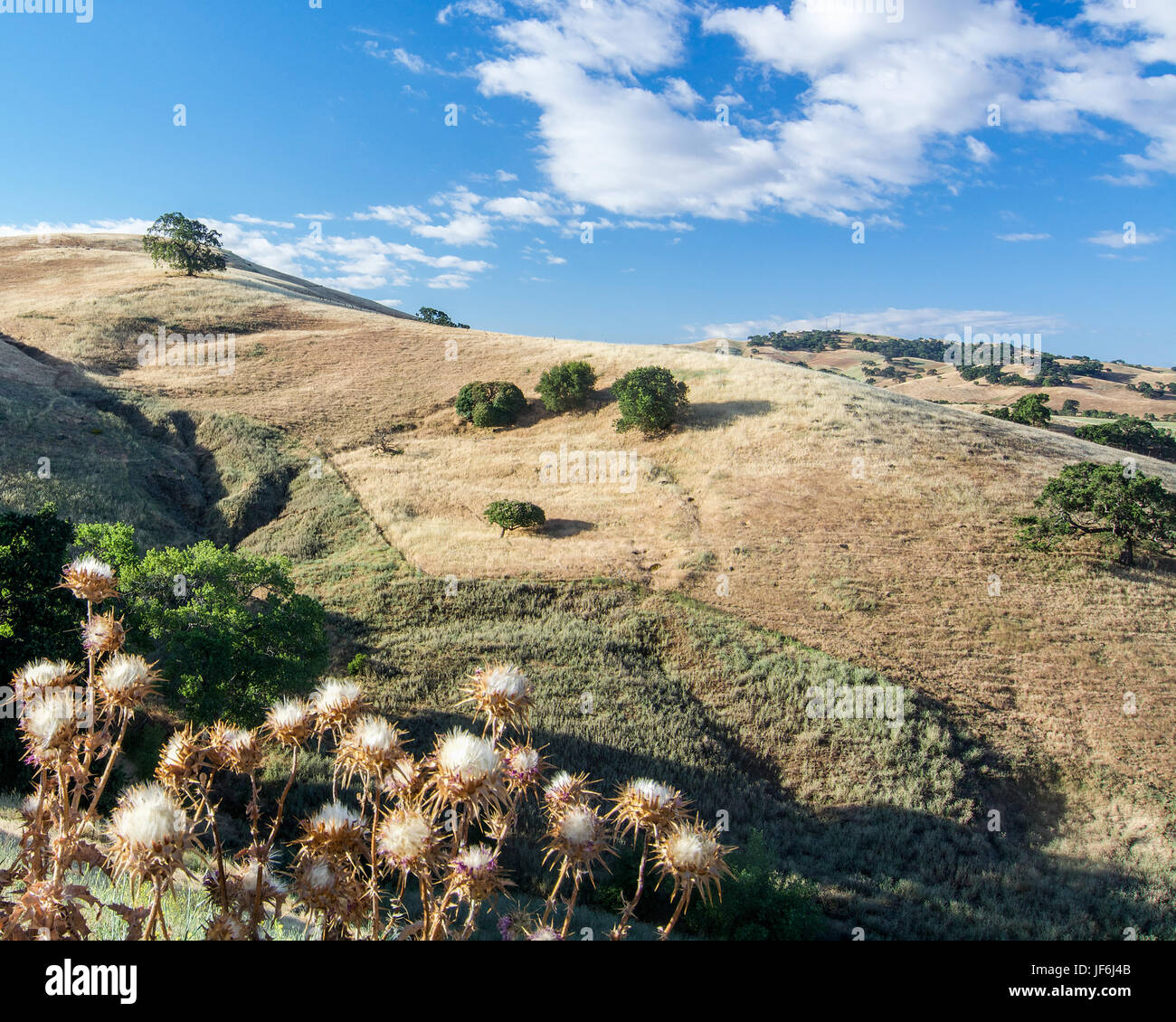 Panoramic view of Lagoon Valley Park in Vacaville, California, USA, featuring the chaparral in the summer with golden and green grass, cloudy sky, and Stock Photo