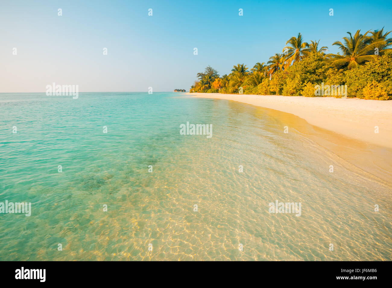 Perfect beach view. Summer holiday and vacation design. Inspirational tropical beach, palm trees and white sand. Tranquil scenery, relaxing beach Stock Photo