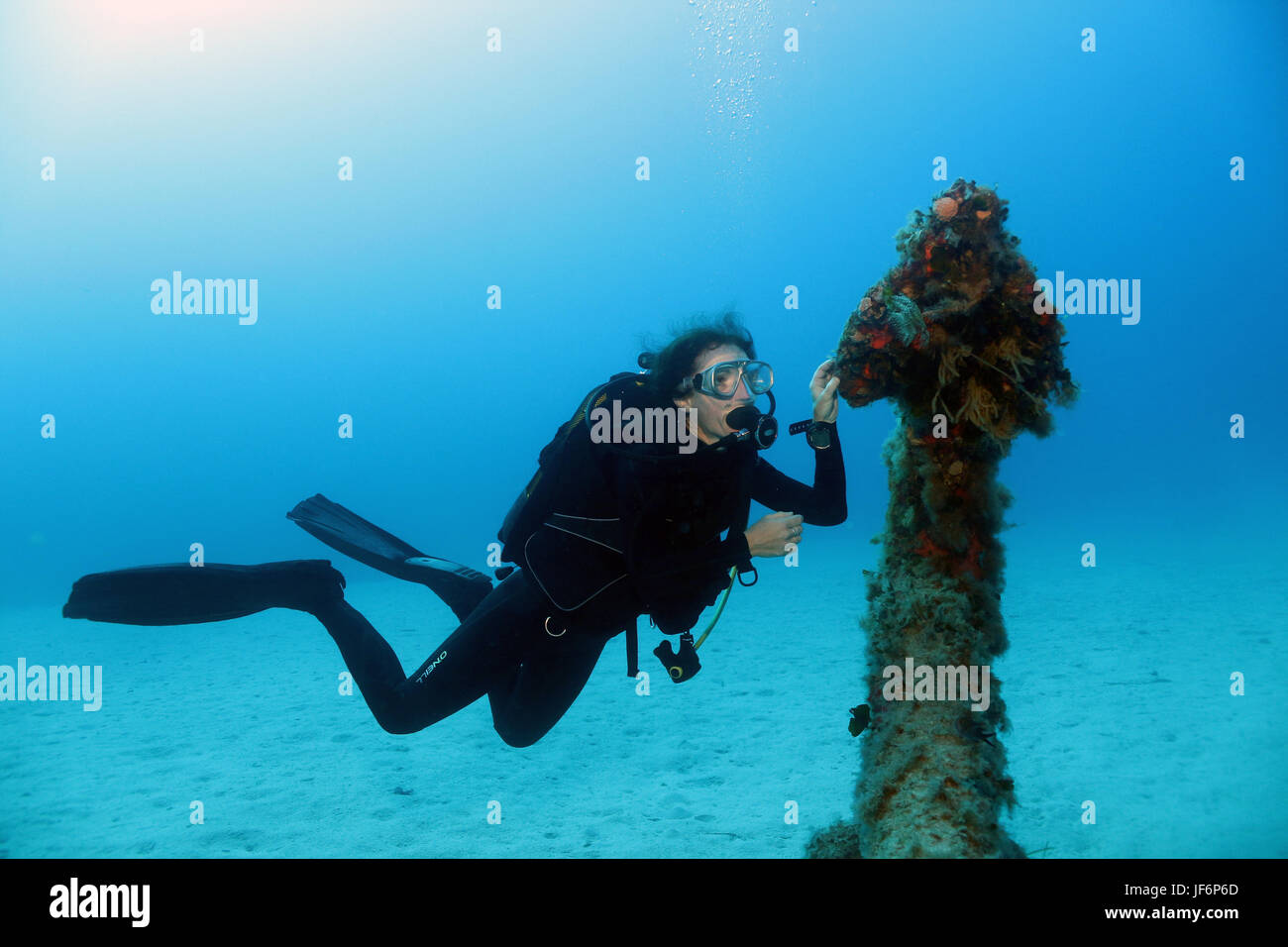 Scuba Divers Underwater Diving Deep Sea Bottom Stock Photo