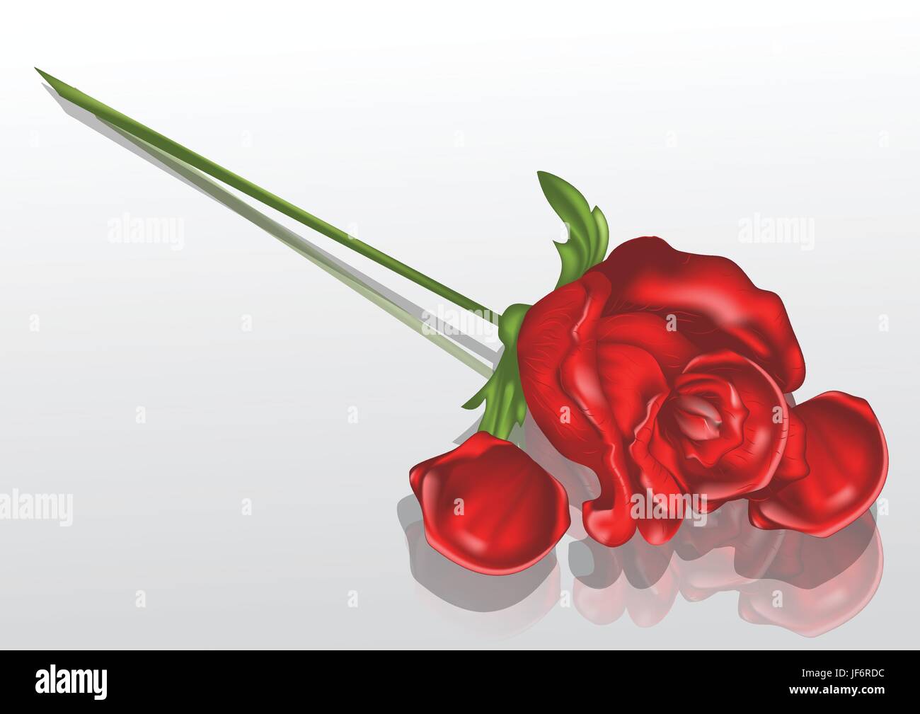 single, death, flower, plant, rose, loss, sadness, decoration, petal