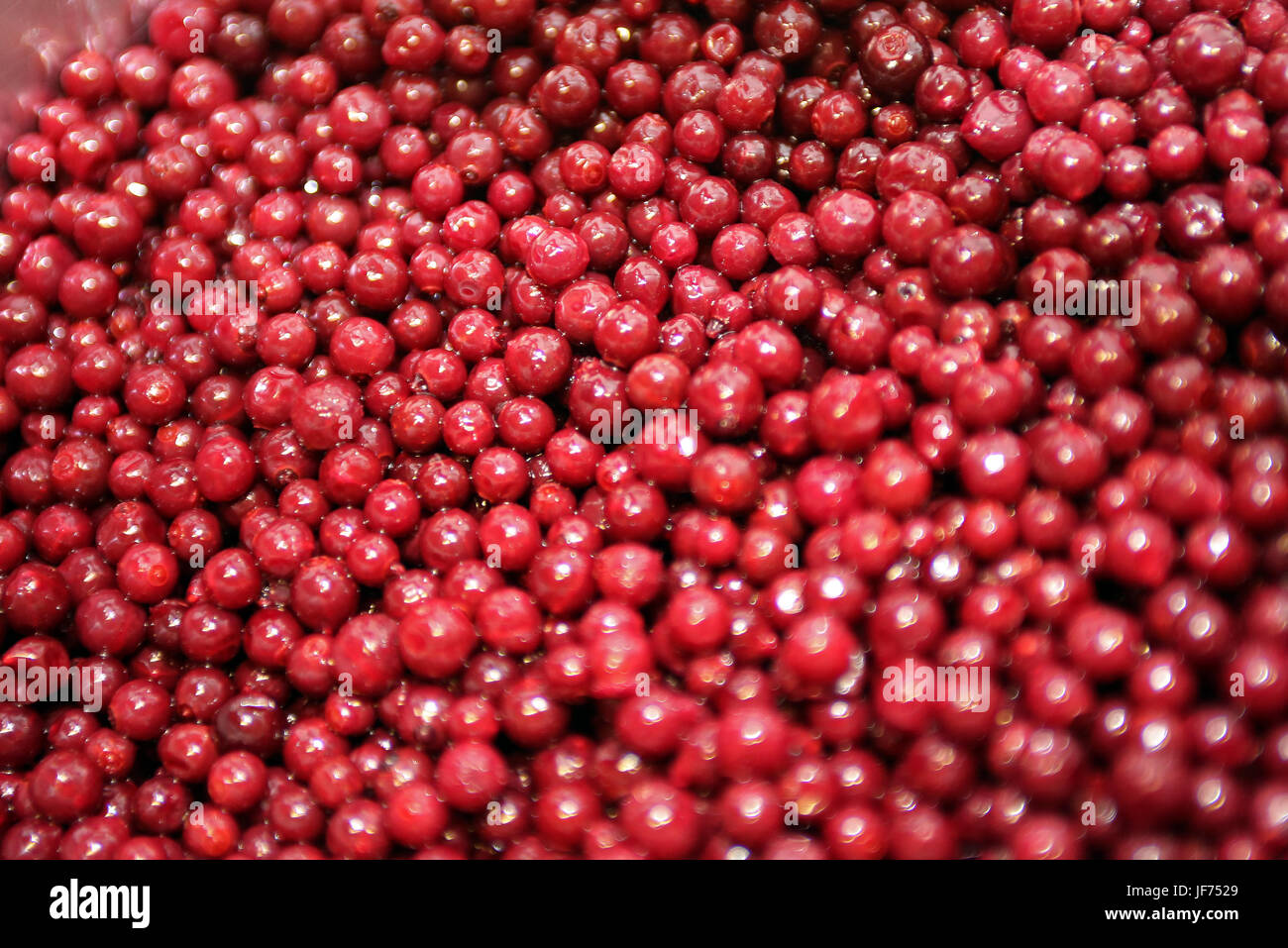 Schnapsbrennerei hi-res stock photography and images - Alamy