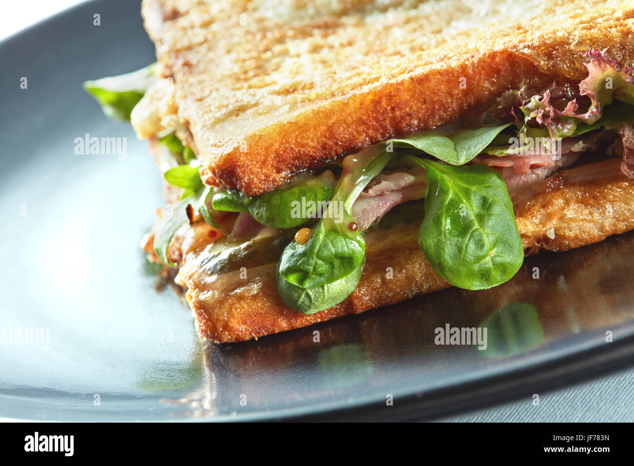 Fresh toasted panini blt sandwich Stock Photo