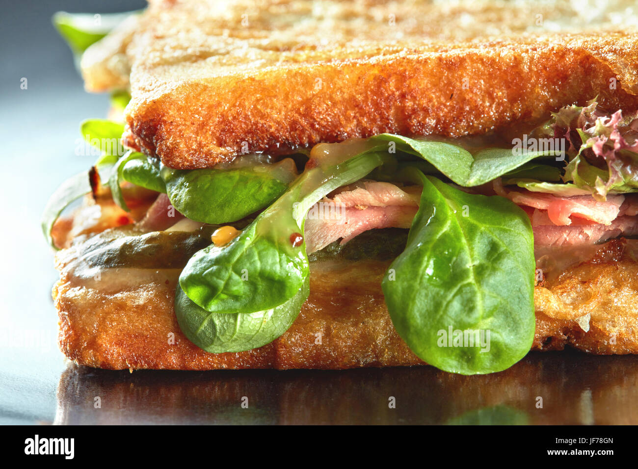 Fresh toasted panini blt sandwich Stock Photo
