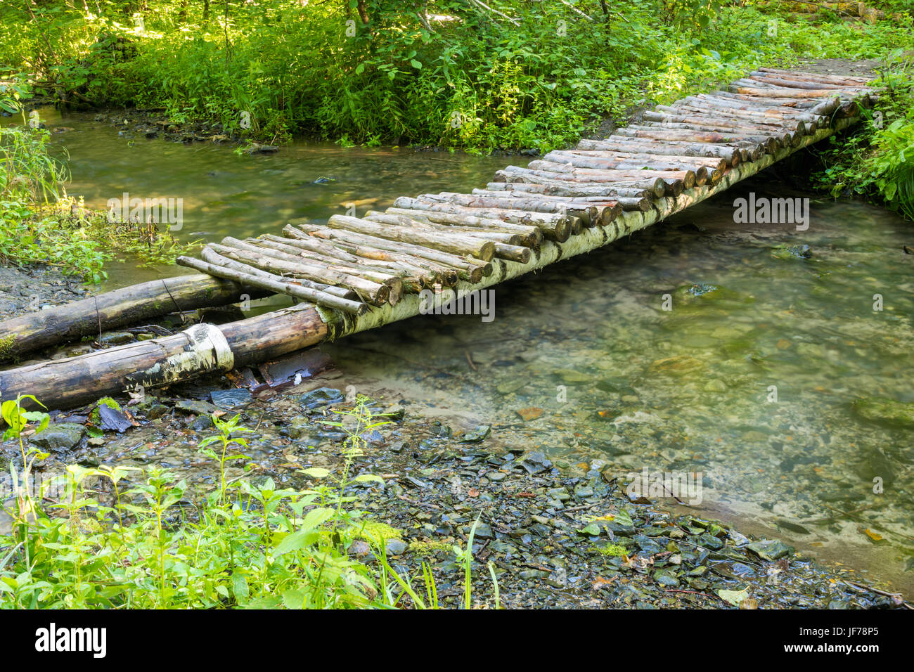 Makeshift wooden bridge over water Stock Photo - Alamy