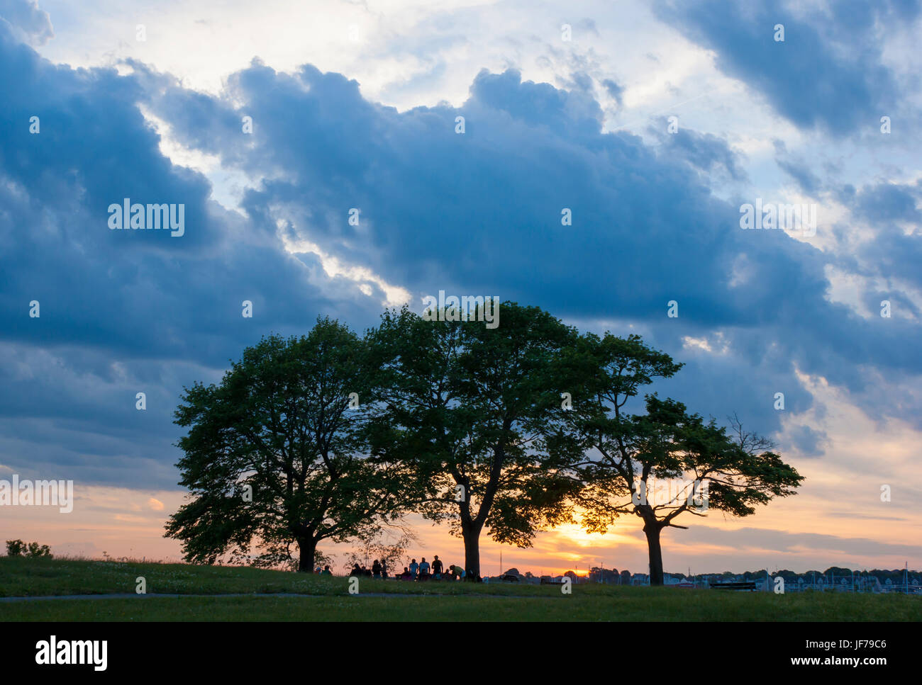 Gathering of friends enjoying a picnic under a grove of trees, at