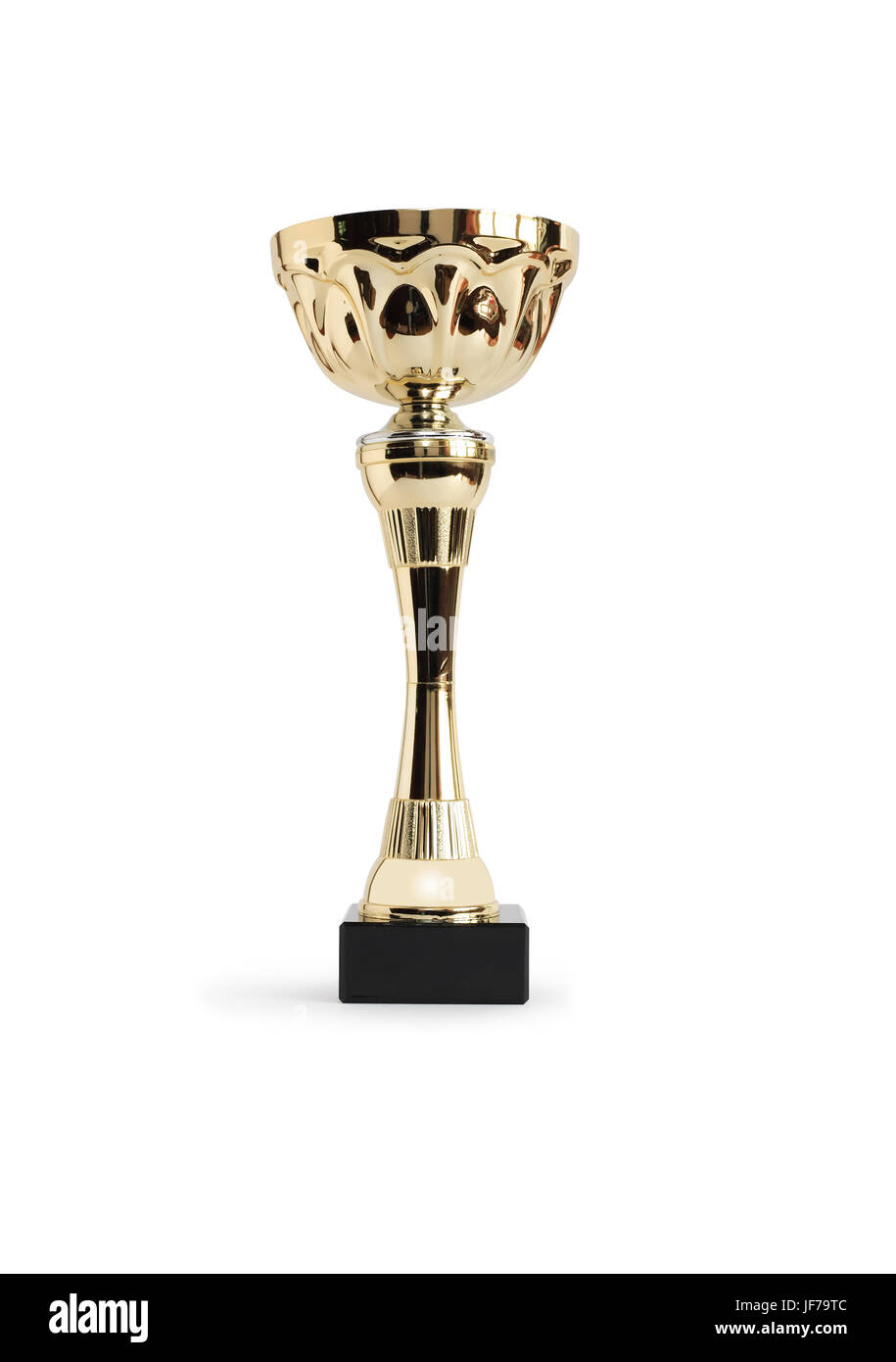 LARGE SILVER/GOLD PRESENTATION CUP TROPHY MULTI AWARD FREE ENGRAVING