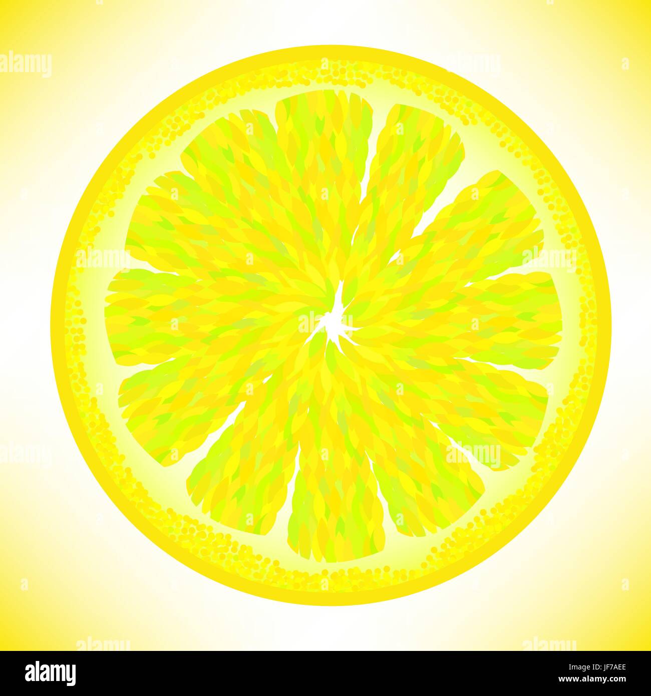 Slice of Fresh Yellow Lemon Isolated on White Background Stock Vector ...