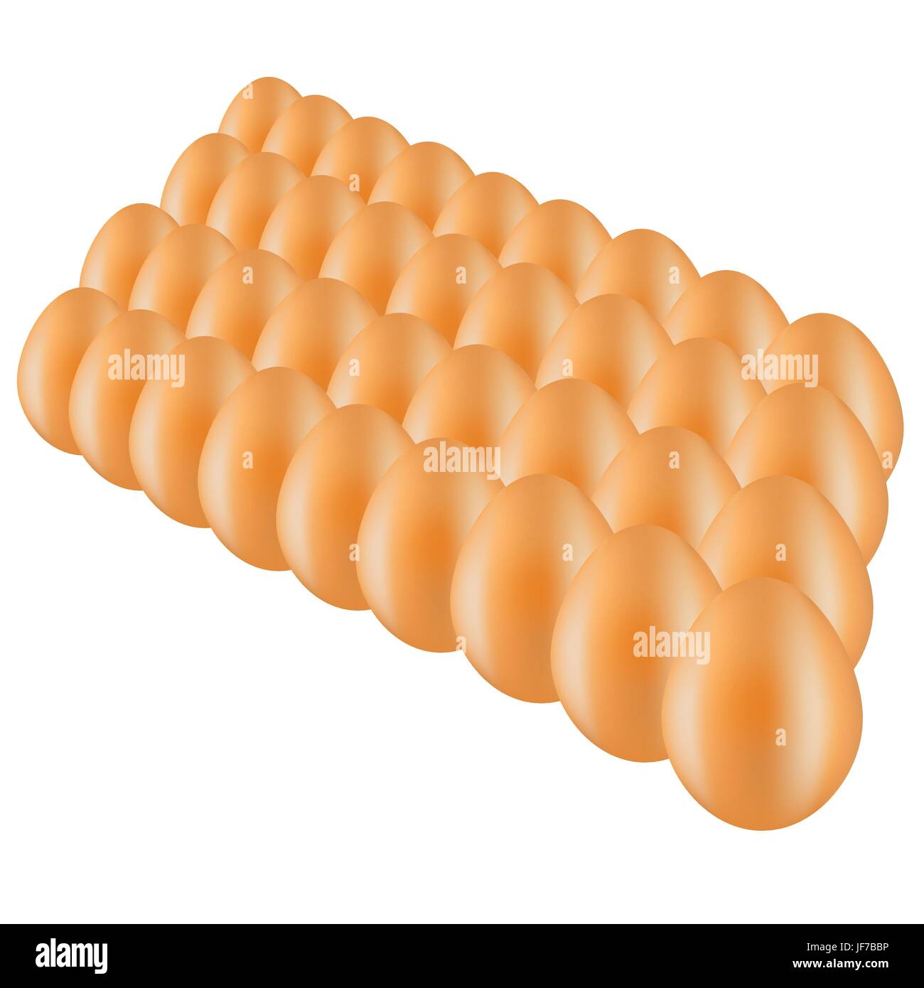 Set of Organic Eggs Isolated on White Background Stock Vector Image ...