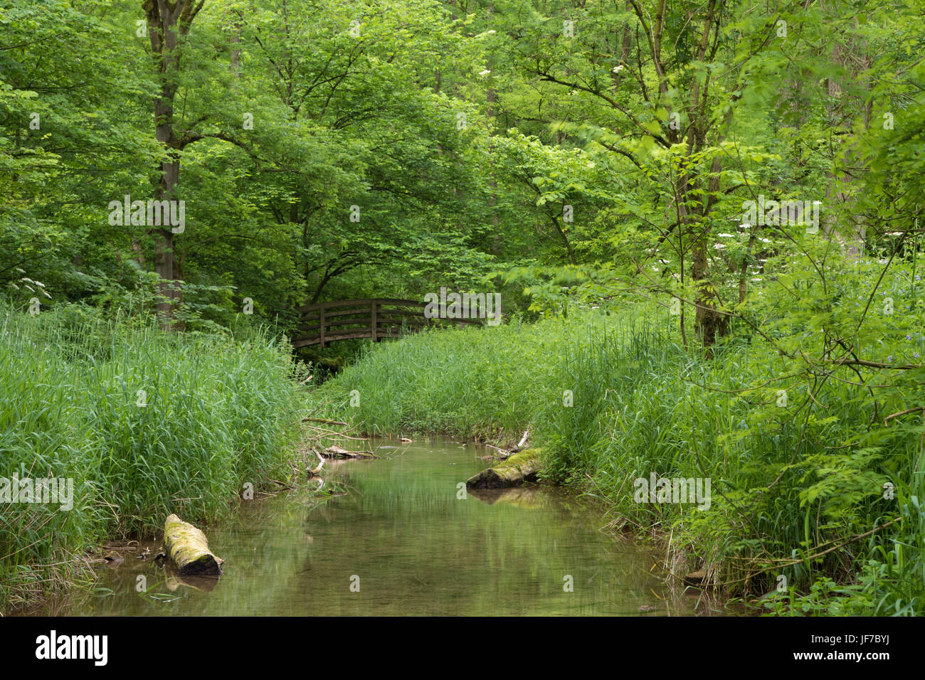 wooden footbridge over the River Lathkill in the Peak District National Park, UK Stock Photo