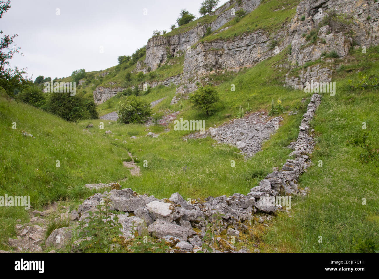 Drystone wall in a limestone valley, Lathkill Dale, Peak District National Park, UK Stock Photo