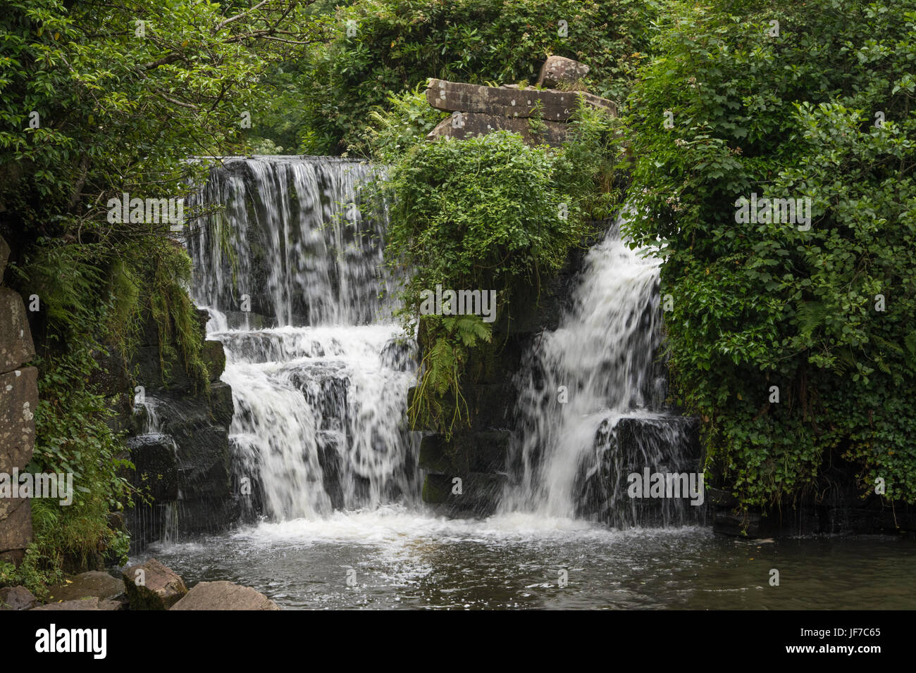 'Hidden Waterfall' in Penllergare Valley Woods, Swansea, Wales Stock Photo