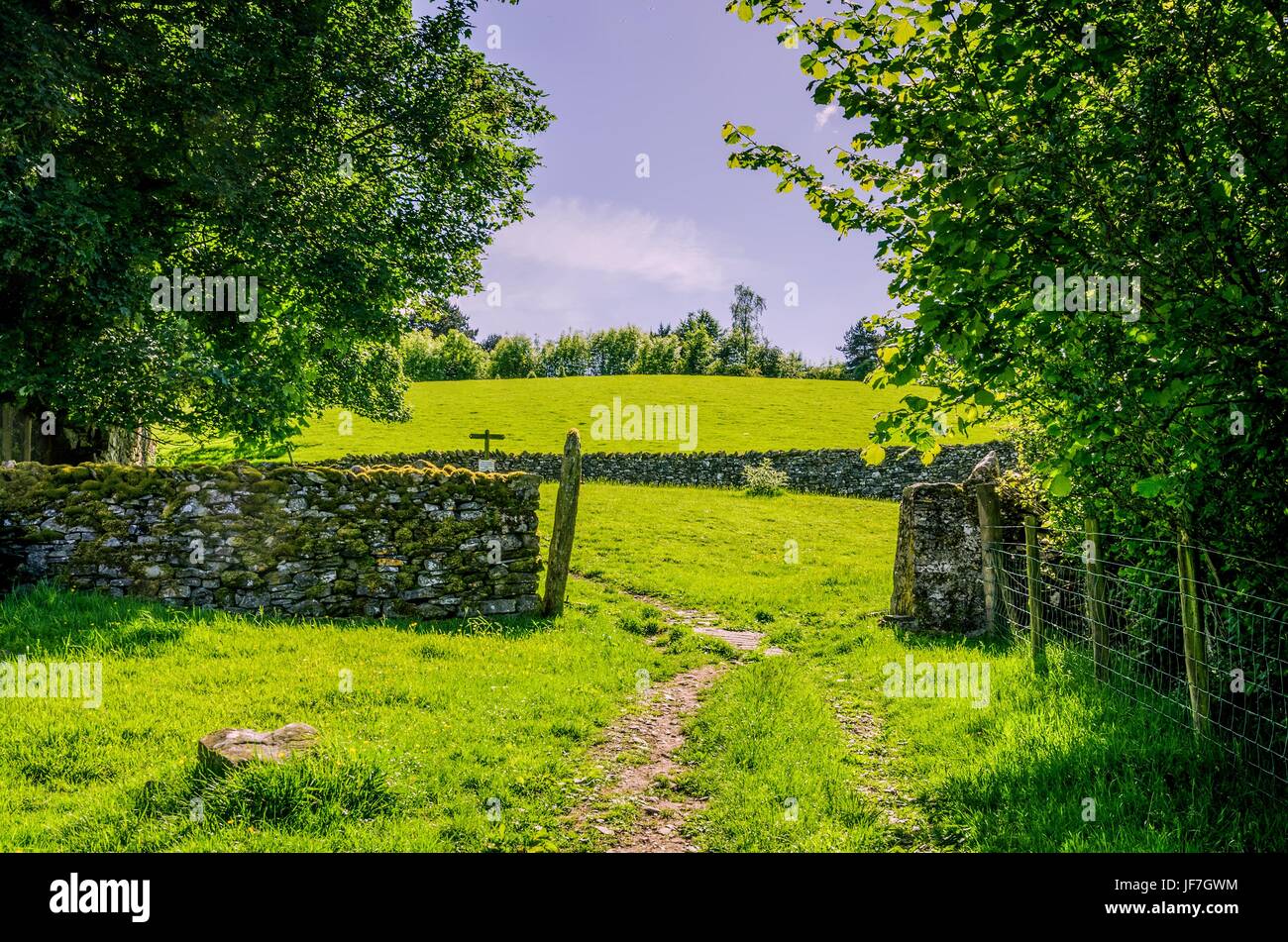 Path and dry stone wall on grazing land. Stock Photo